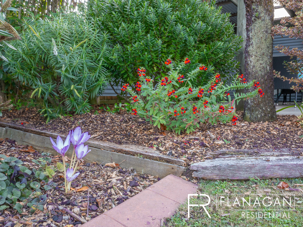 For Sale | Flanagan Residential | Summerhill | Paul Flanagan