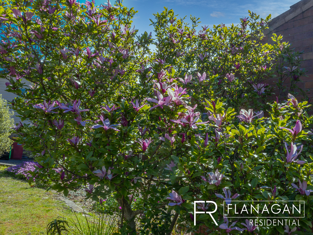 For Sale | Flanagan Residential | Paul Flanagan | Trevallyn