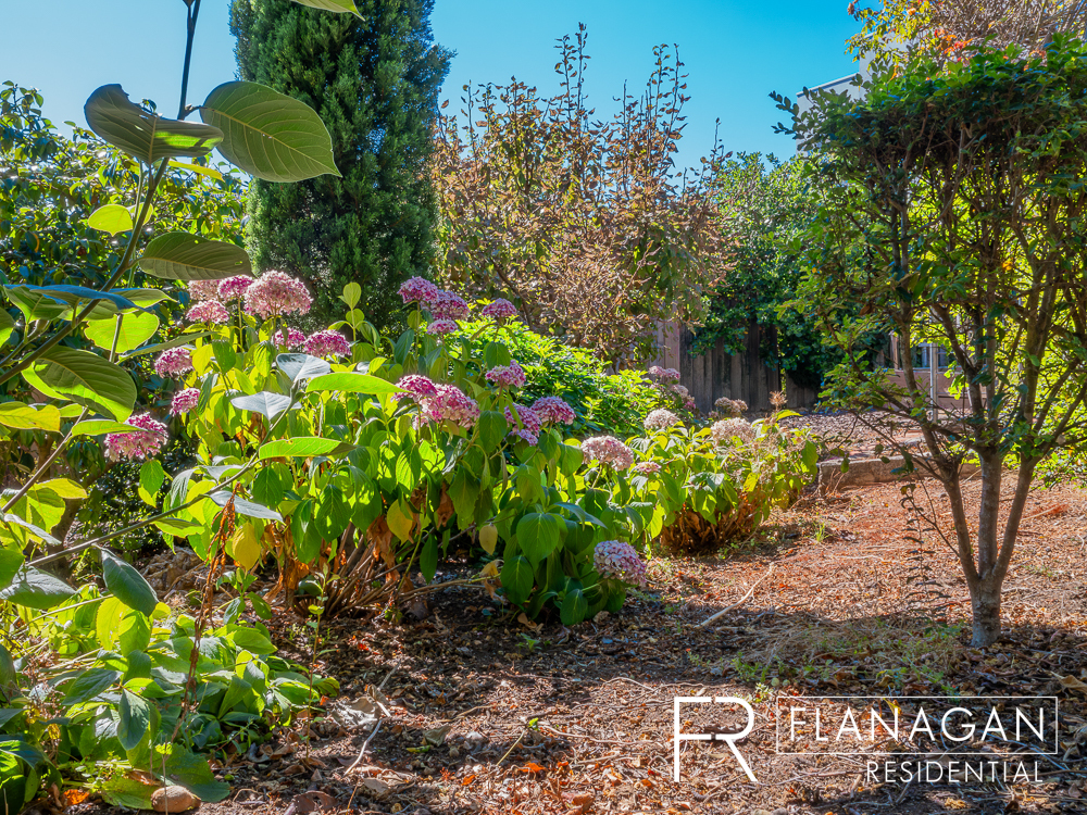 For Sale | Newstead | Paul Flanagan | Flanagan Residential