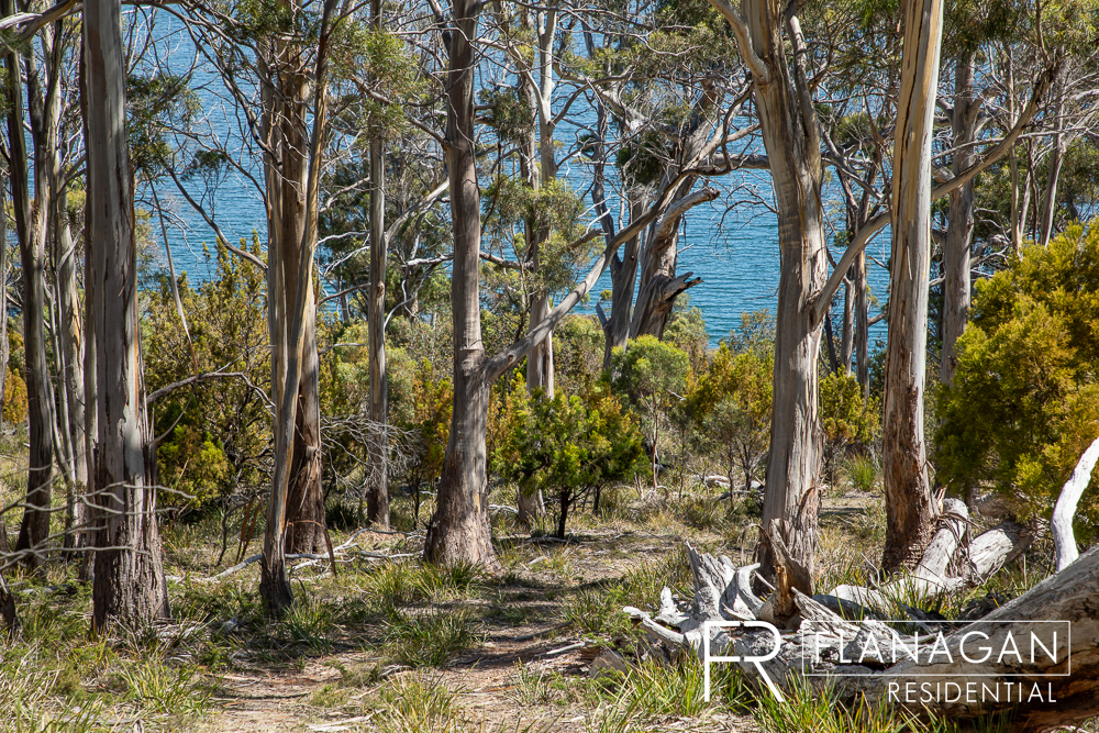 For Sale | Bruny Island | Rae Smith | Flanagan Residential