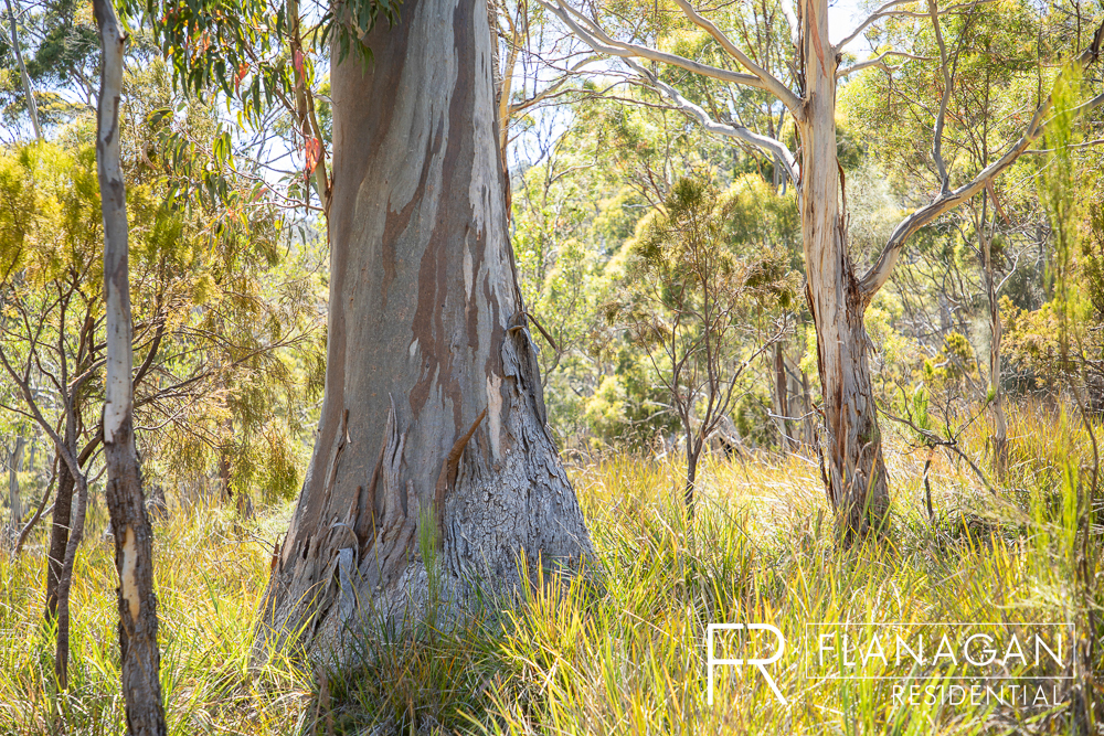 For Sale | Bruny Island | Rae Smith | Flanagan Residential