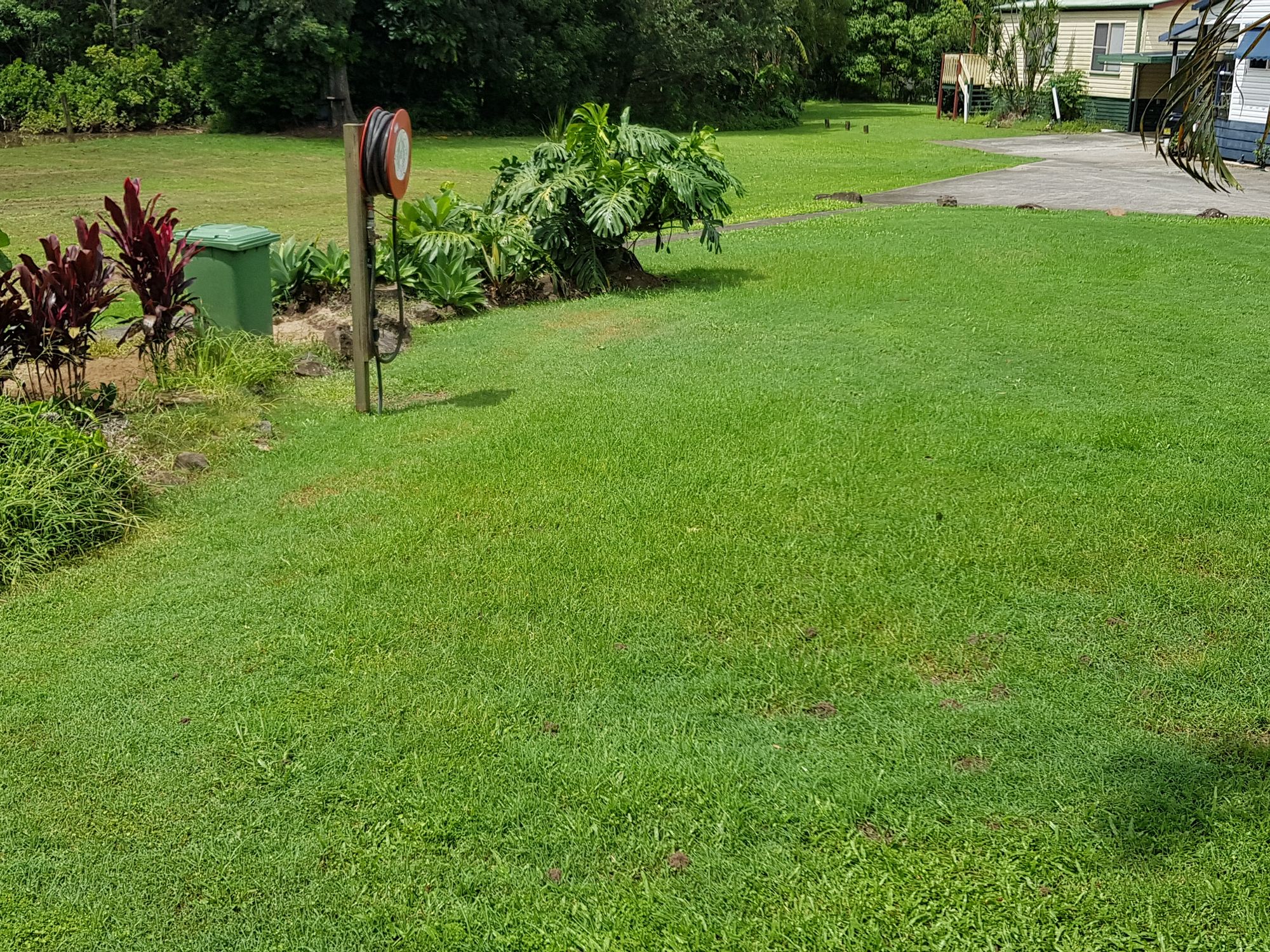 Granny Flats for Rent Rent a Granny Flat Find a Tenant Leased