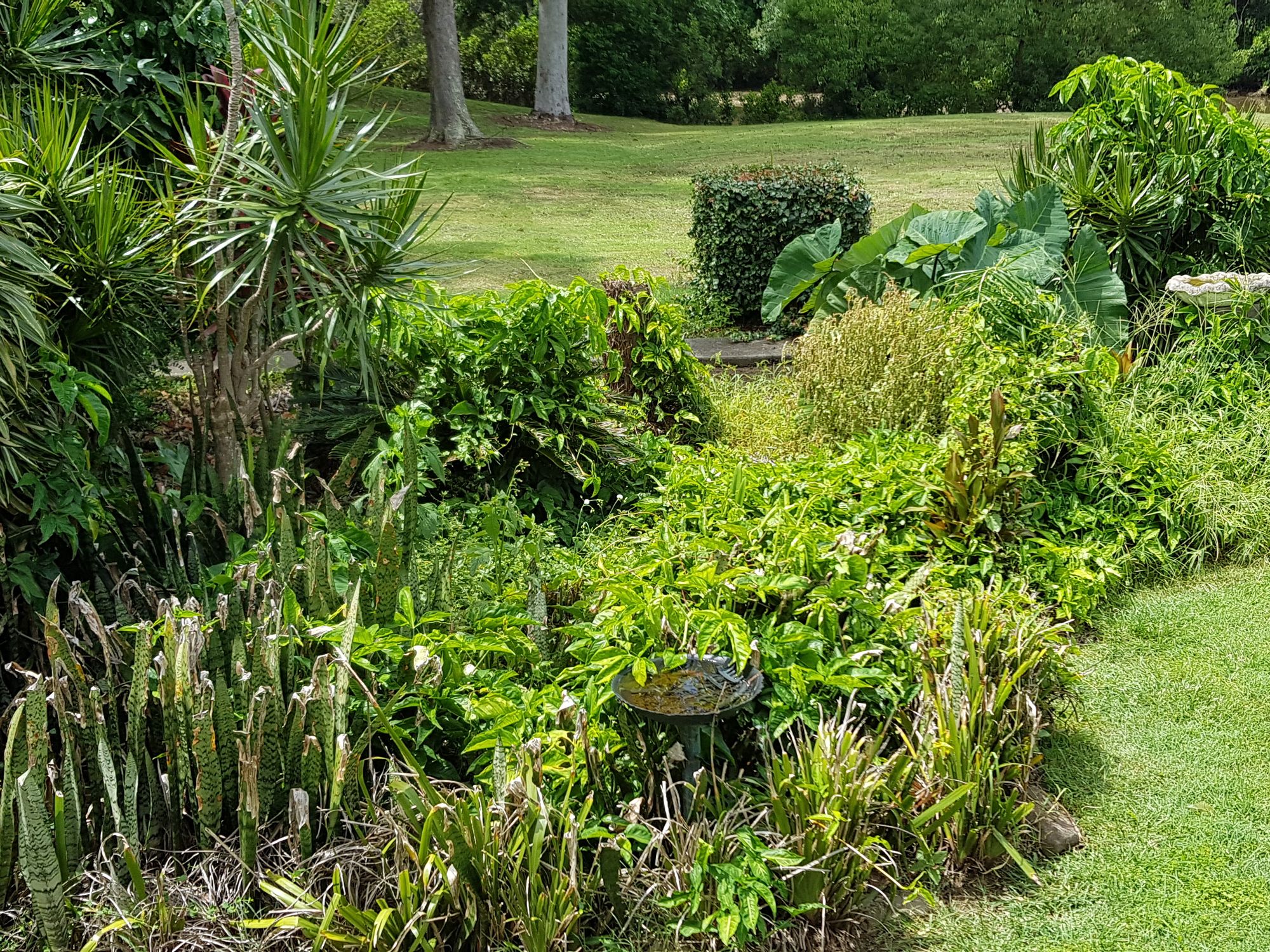 Granny Flats for Rent Rent a Granny Flat Find a Tenant Leased