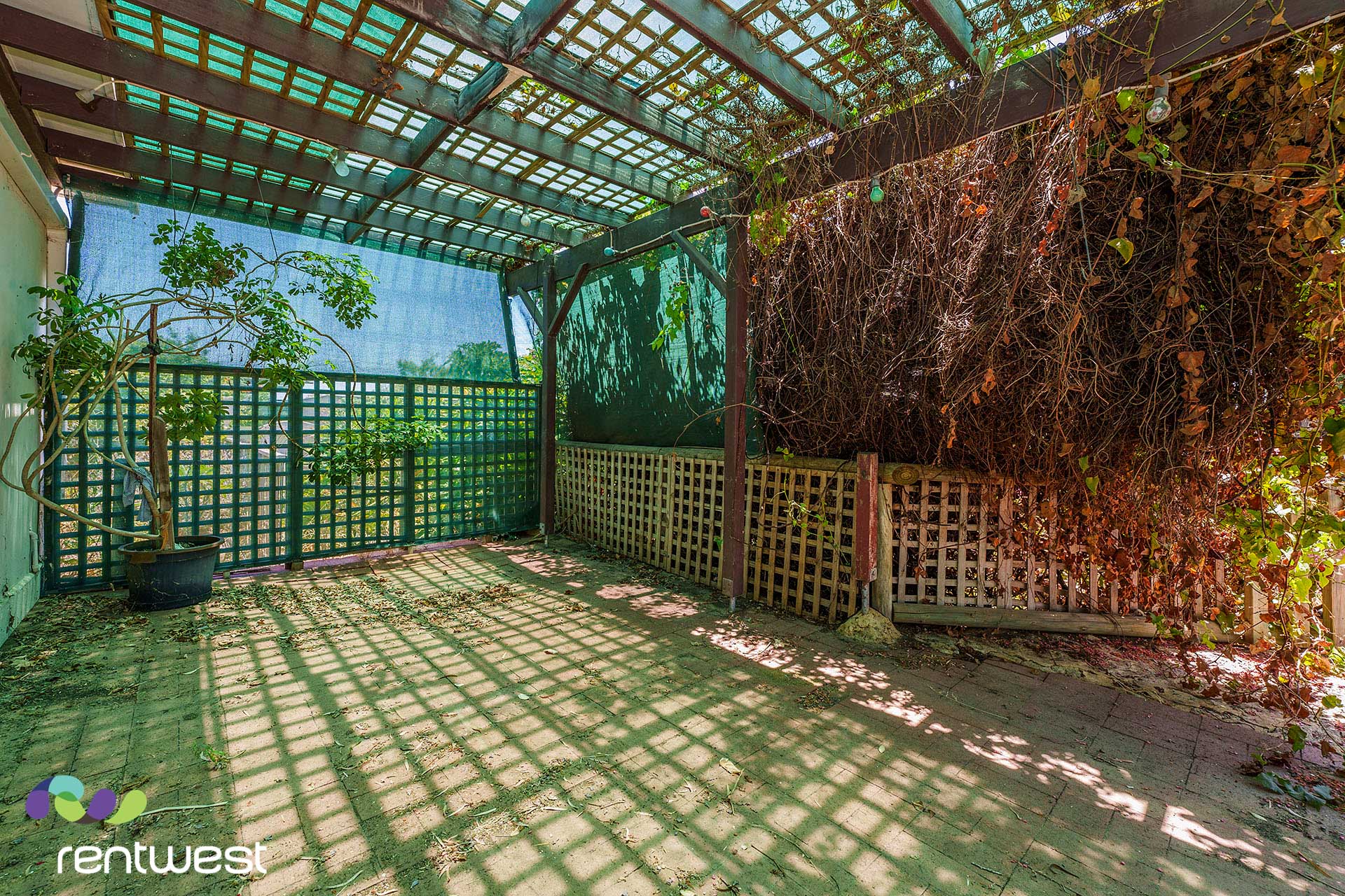 Granny Flats for Rent Rent a Granny Flat Find a Tenant POWER