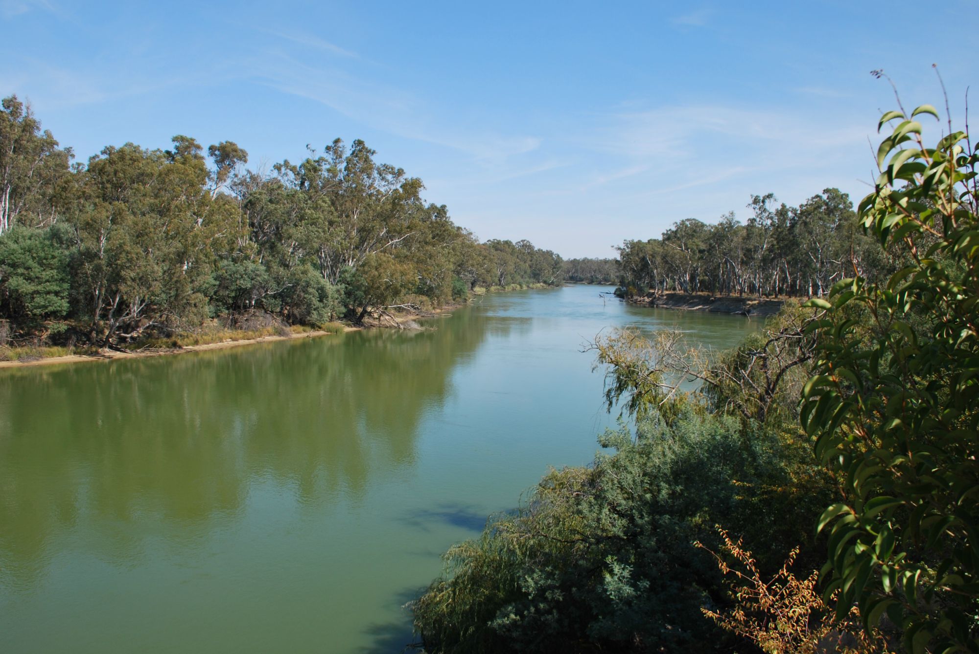 Dream Murray River Frontage Home Site Andrew Jenkins & Co Pty Ltd