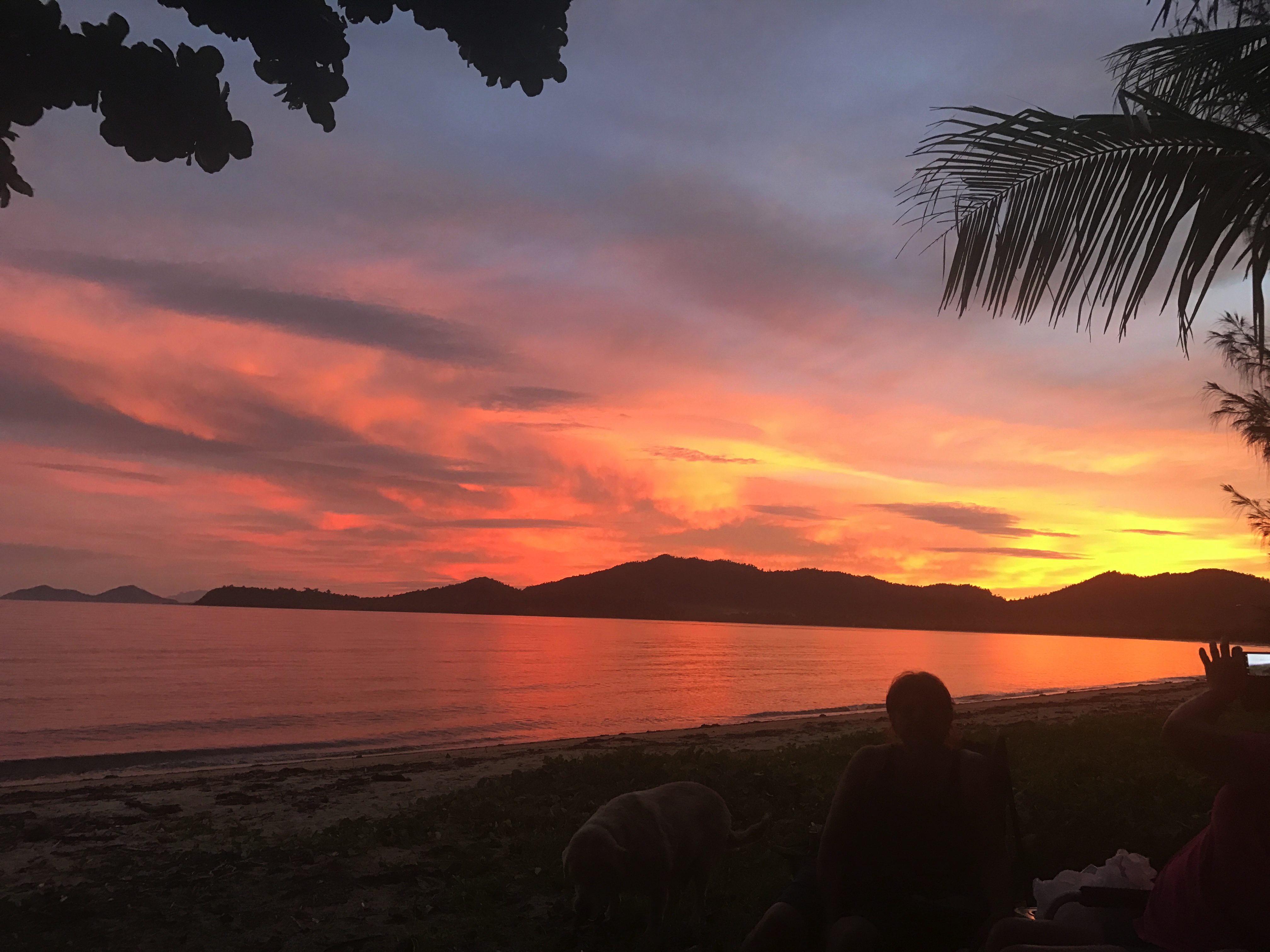 Kurrimine Beach Property Sales BUSINESS OPPORTUNITY AT THE BEACH