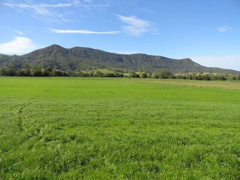 AUCTION RICHMOND RIVER DAIRY FARM Kyogle Real Estate
