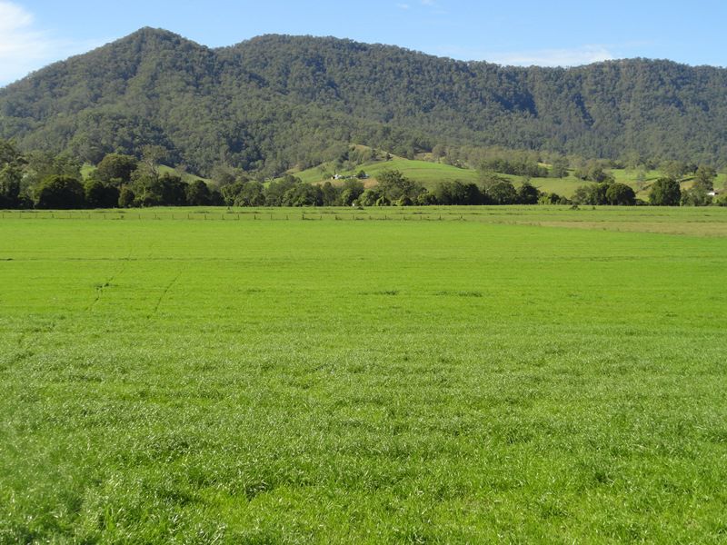 AUCTION RICHMOND RIVER DAIRY FARM Kyogle Real Estate