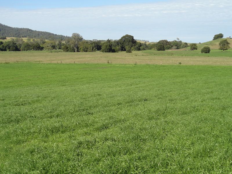 AUCTION RICHMOND RIVER DAIRY FARM Kyogle Real Estate