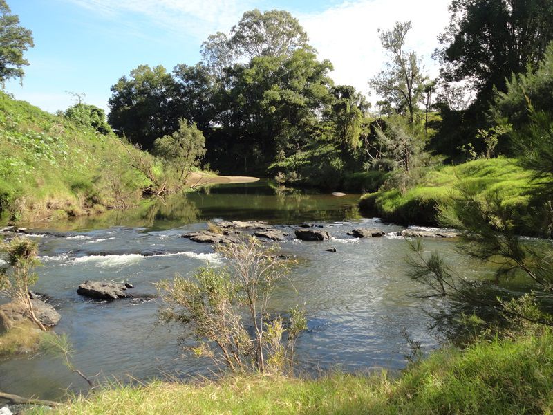 AUCTION RICHMOND RIVER DAIRY FARM Kyogle Real Estate