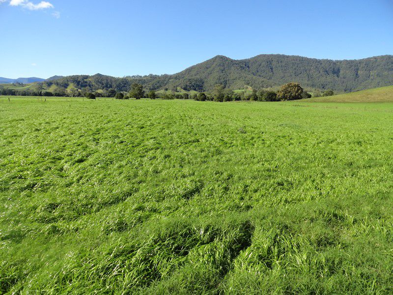 AUCTION RICHMOND RIVER DAIRY FARM Kyogle Real Estate