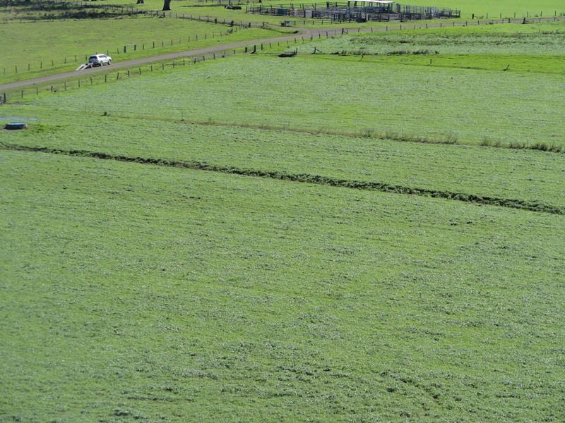 AUCTION RICHMOND RIVER DAIRY FARM Kyogle Real Estate