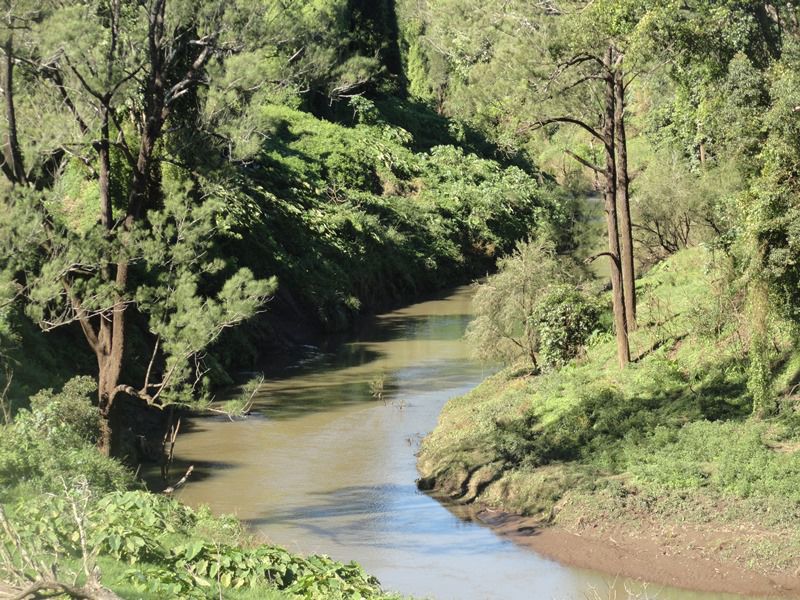 AUCTION RICHMOND RIVER DAIRY FARM Kyogle Real Estate