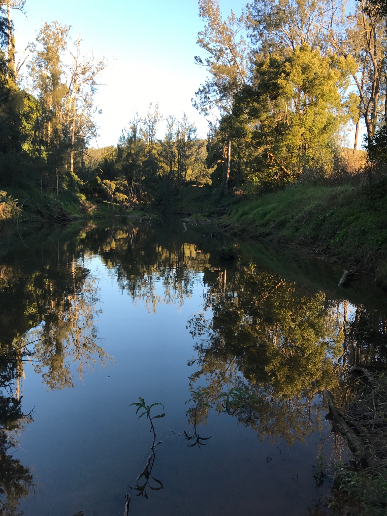IRON POT CREEK FRONTAGE Kyogle Real Estate