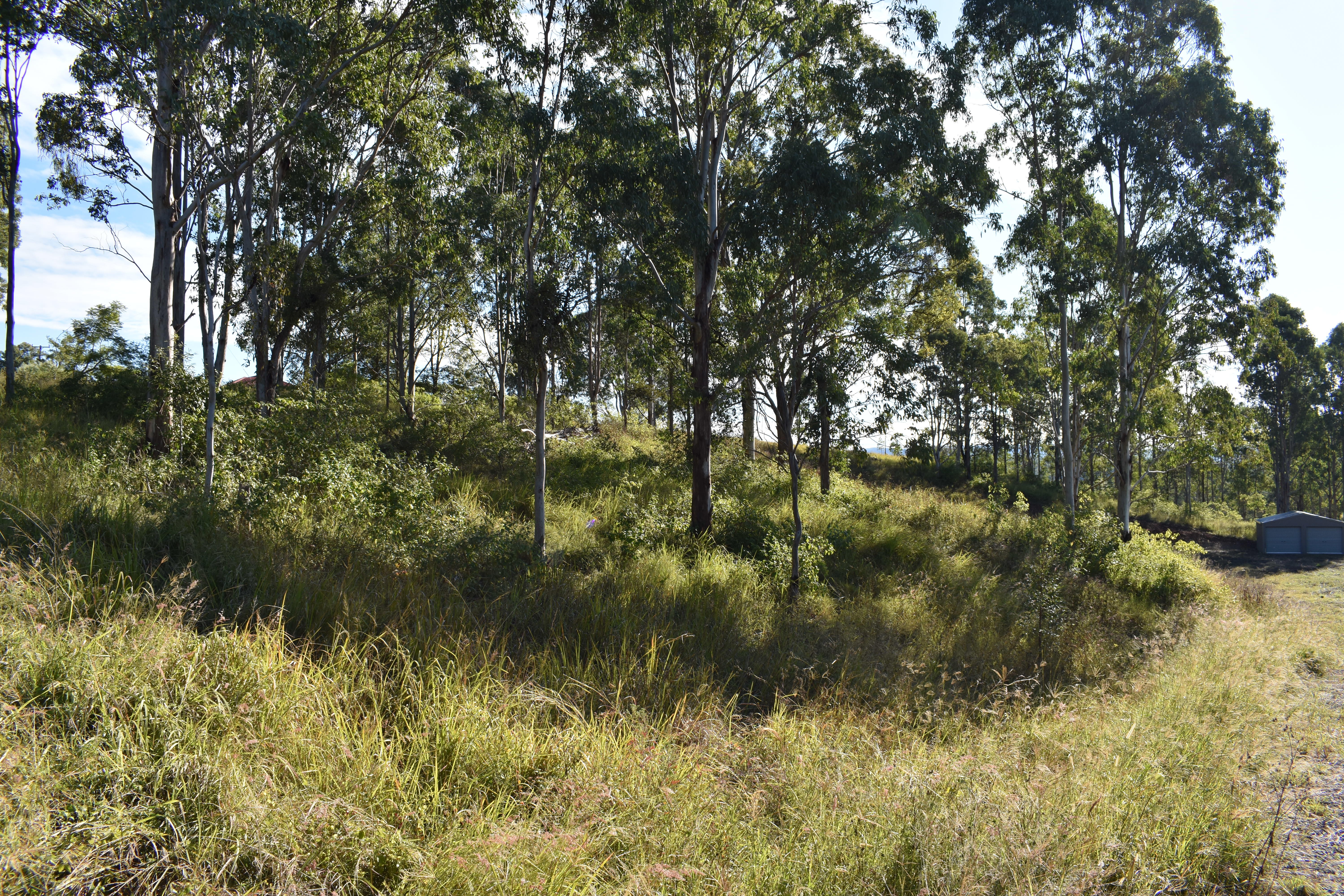RURAL VIEWS ON 5 ACRE BLOCK Kyogle Real Estate