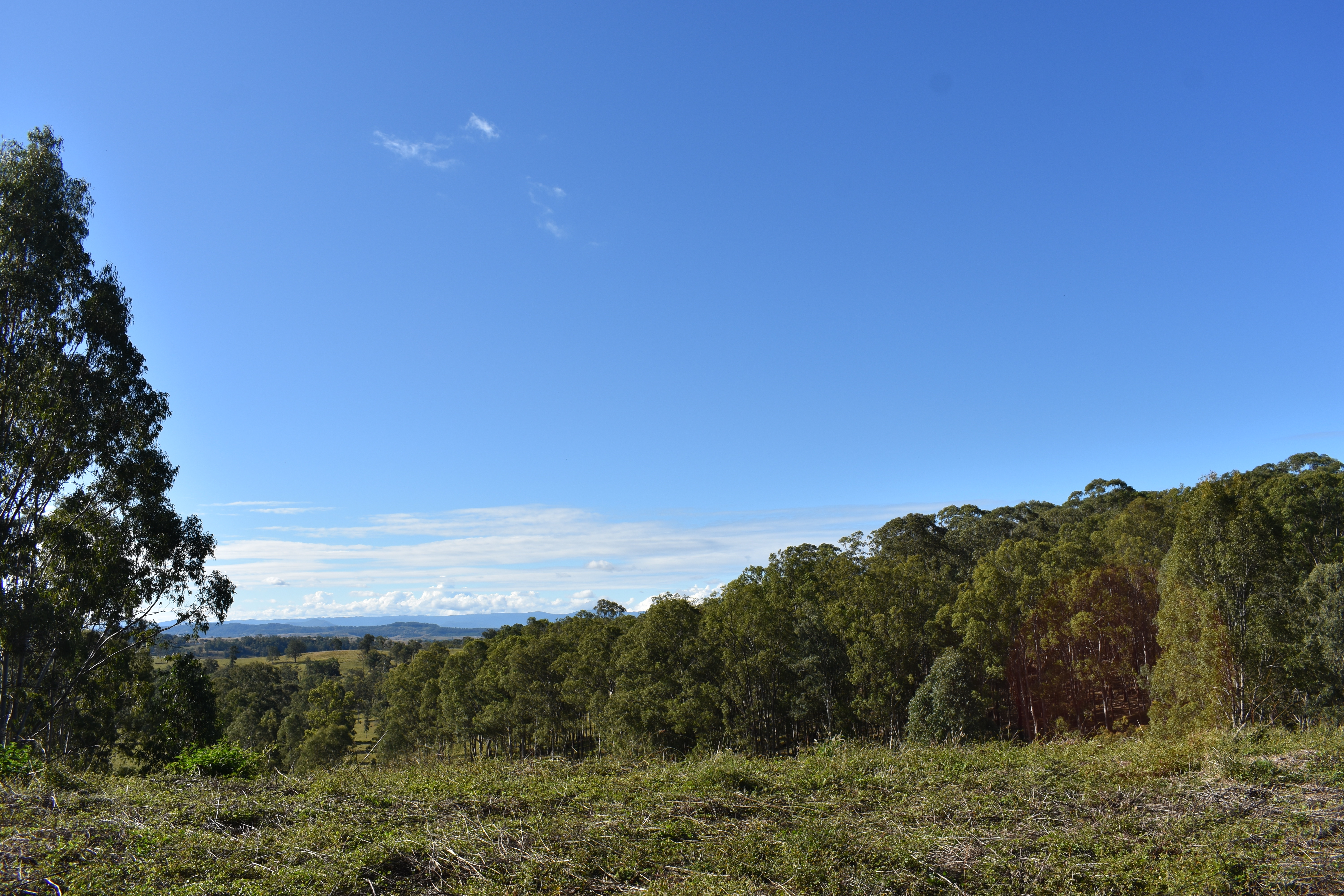 RURAL VIEWS ON 5 ACRE BLOCK Kyogle Real Estate