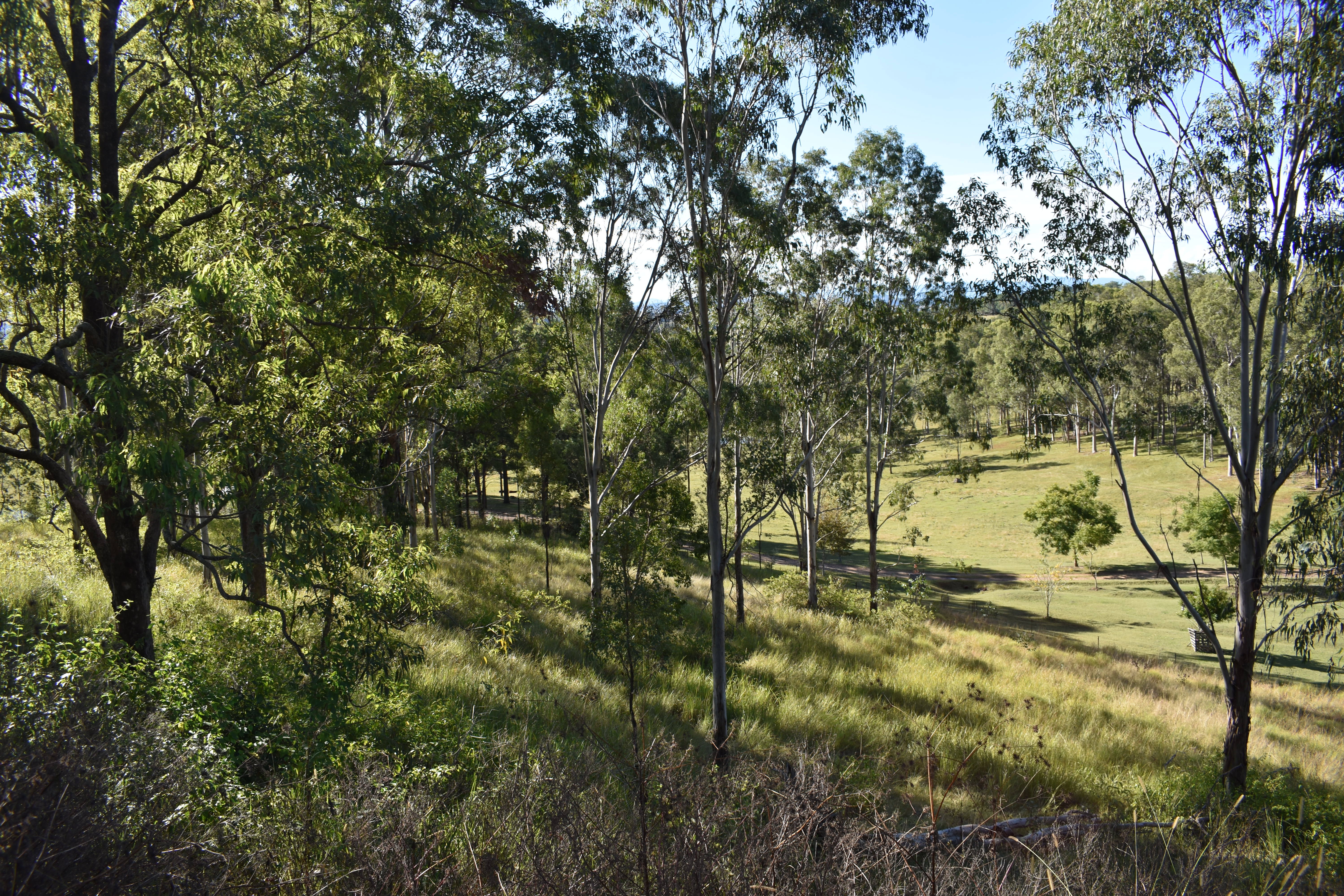RURAL VIEWS ON 5 ACRE BLOCK Kyogle Real Estate