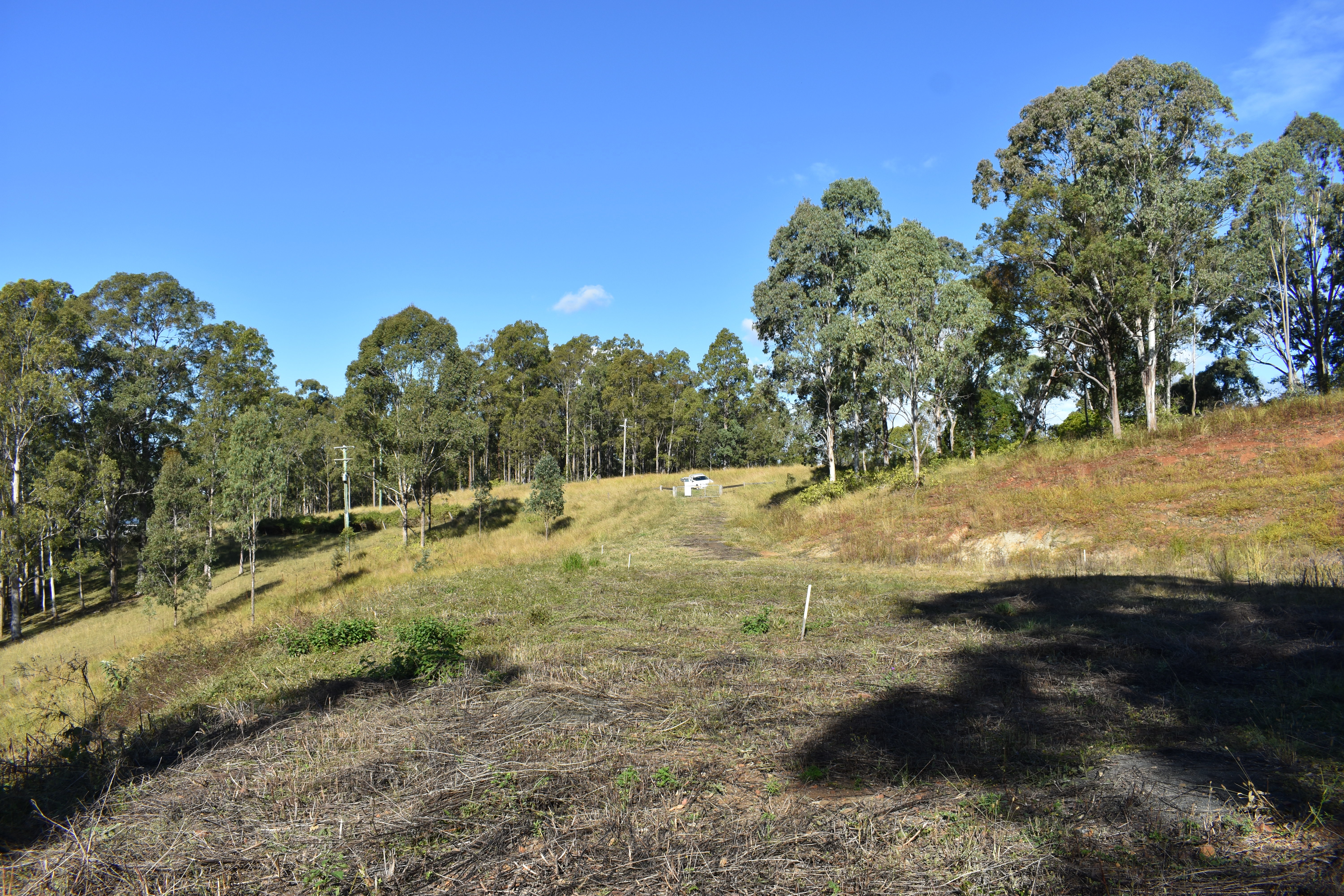 RURAL VIEWS ON 5 ACRE BLOCK Kyogle Real Estate