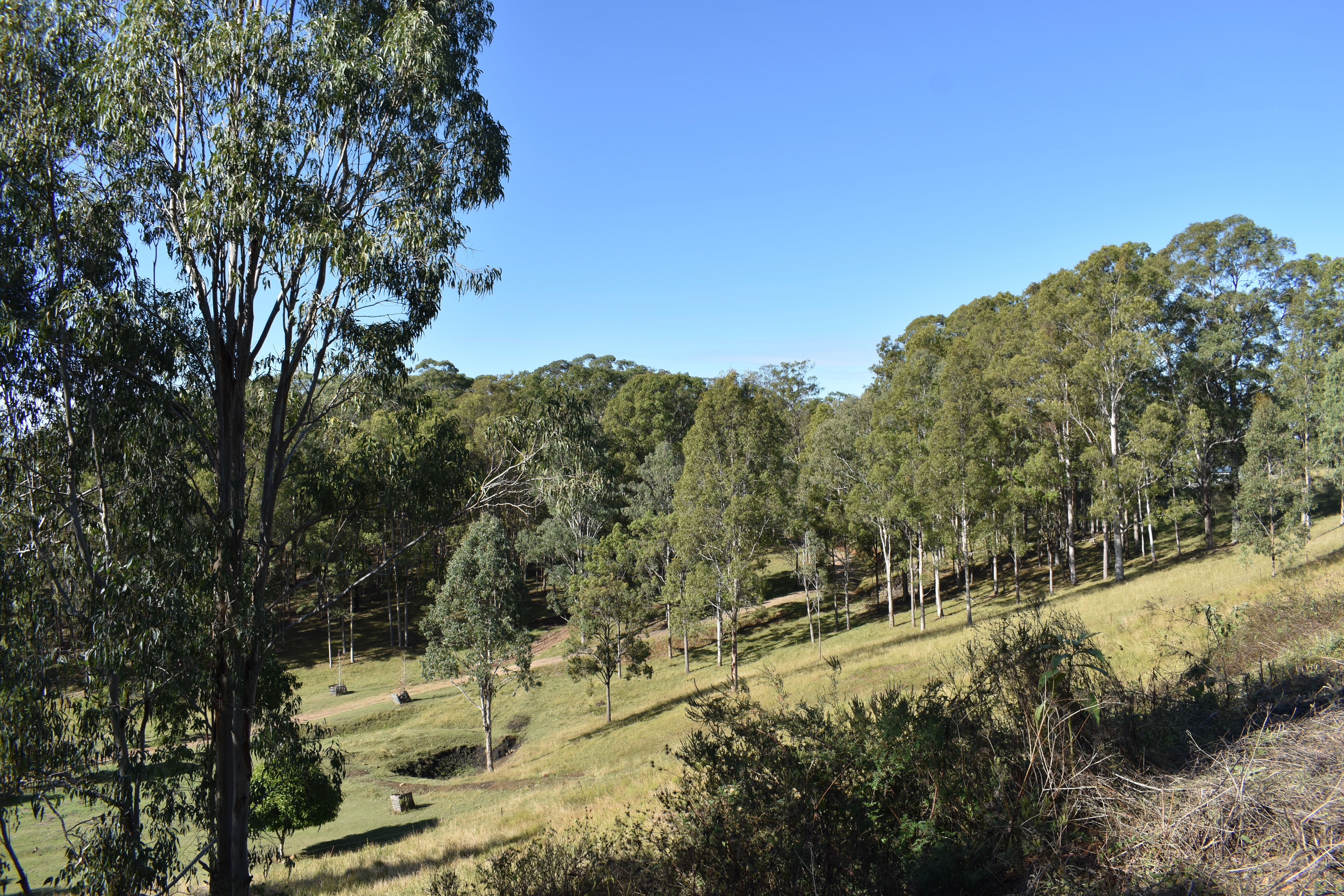 RURAL VIEWS ON 5 ACRE BLOCK Kyogle Real Estate