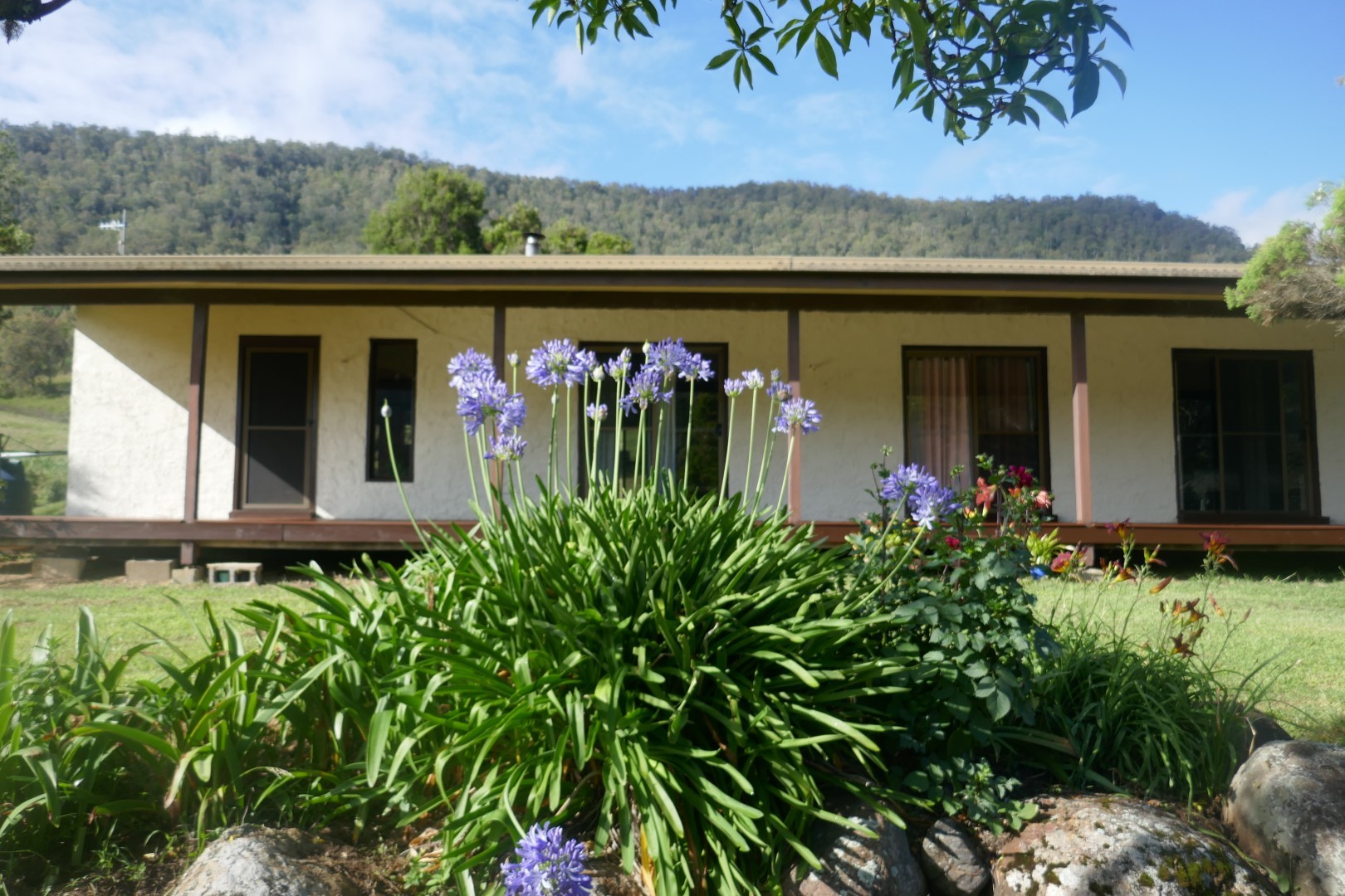 ROSEBERRY AT ITS BEST Kyogle Real Estate
