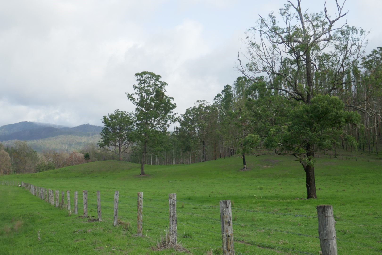 LINDESAY VIEW Kyogle Real Estate