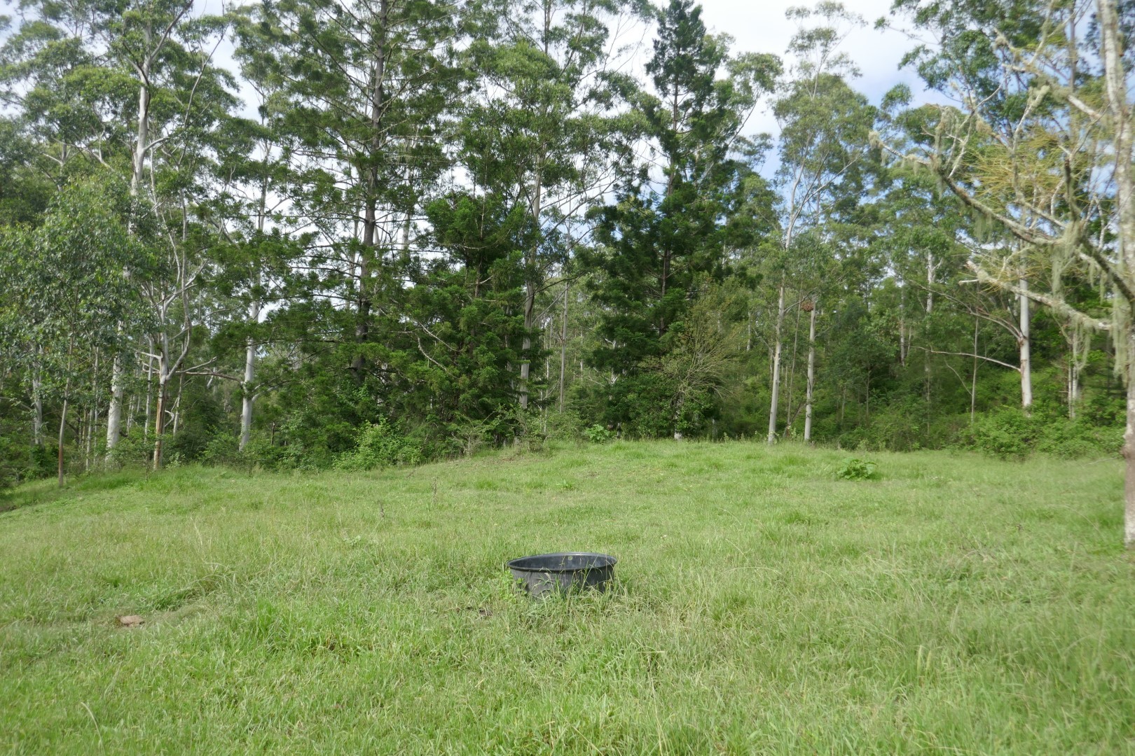 UNDER OFFER Kyogle Real Estate