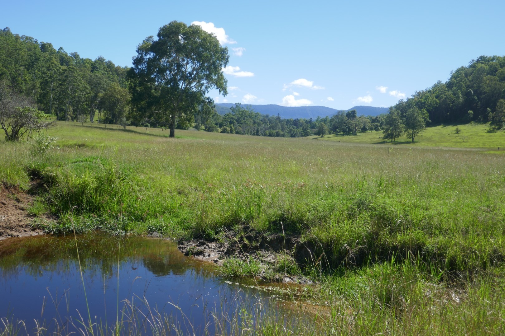 Want to buy your own piece of "PARADISE" Kyogle Real Estate