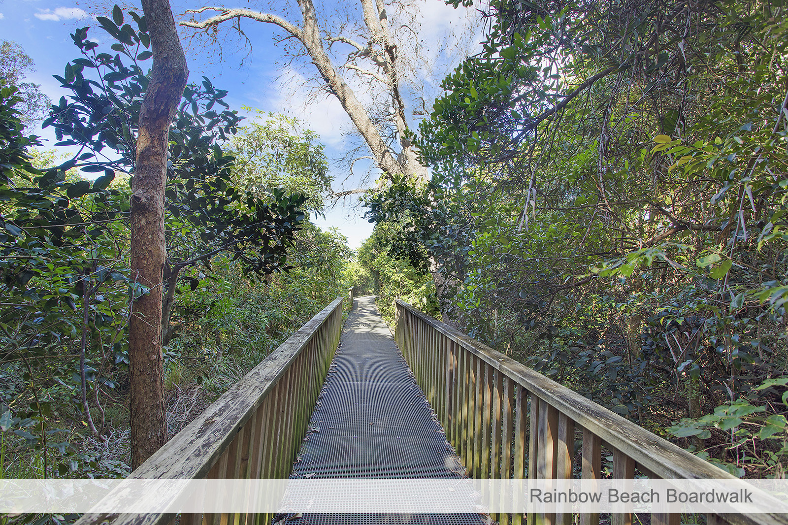 Stylish Dual Living! Lake Cathie Bonny Hills Real Estate