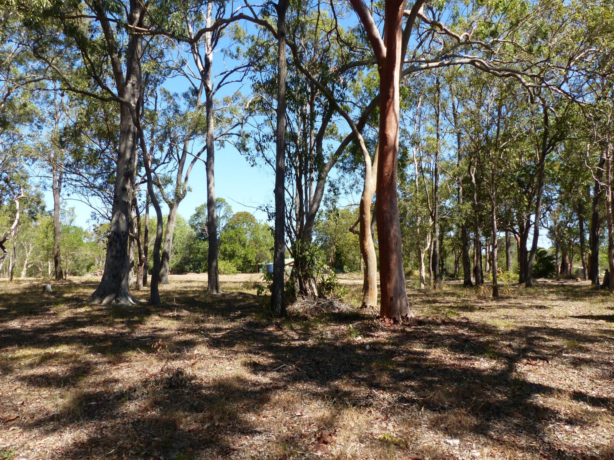 Lake Cooroibah Realty Neighbouring onto Noosa National Park