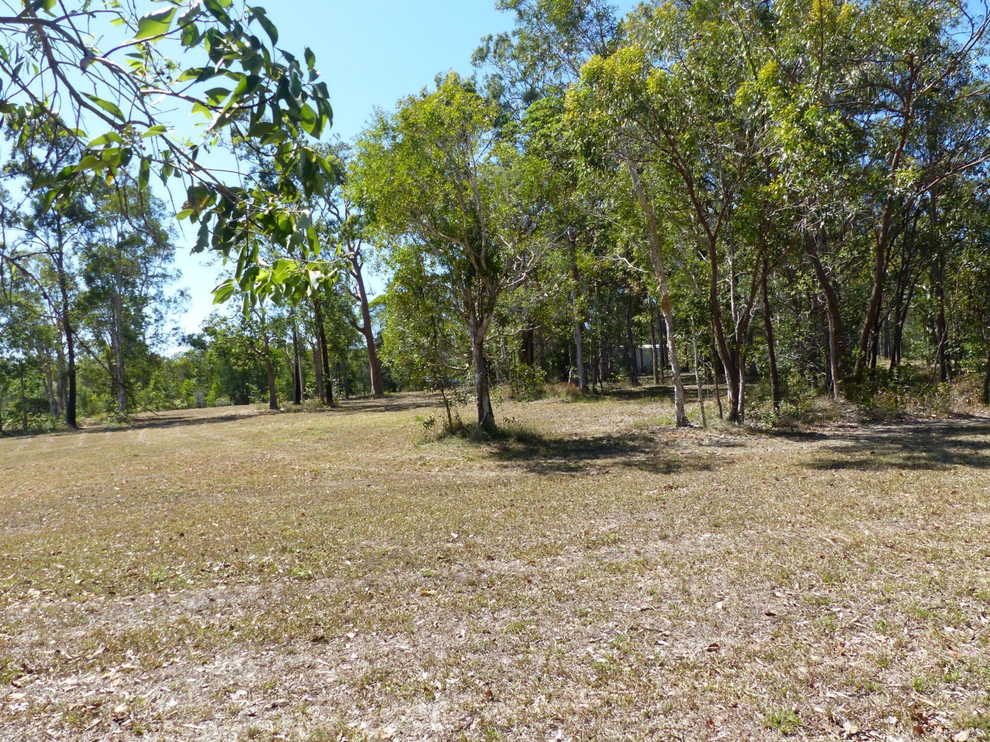 Lake Cooroibah Realty Neighbouring onto Noosa National Park