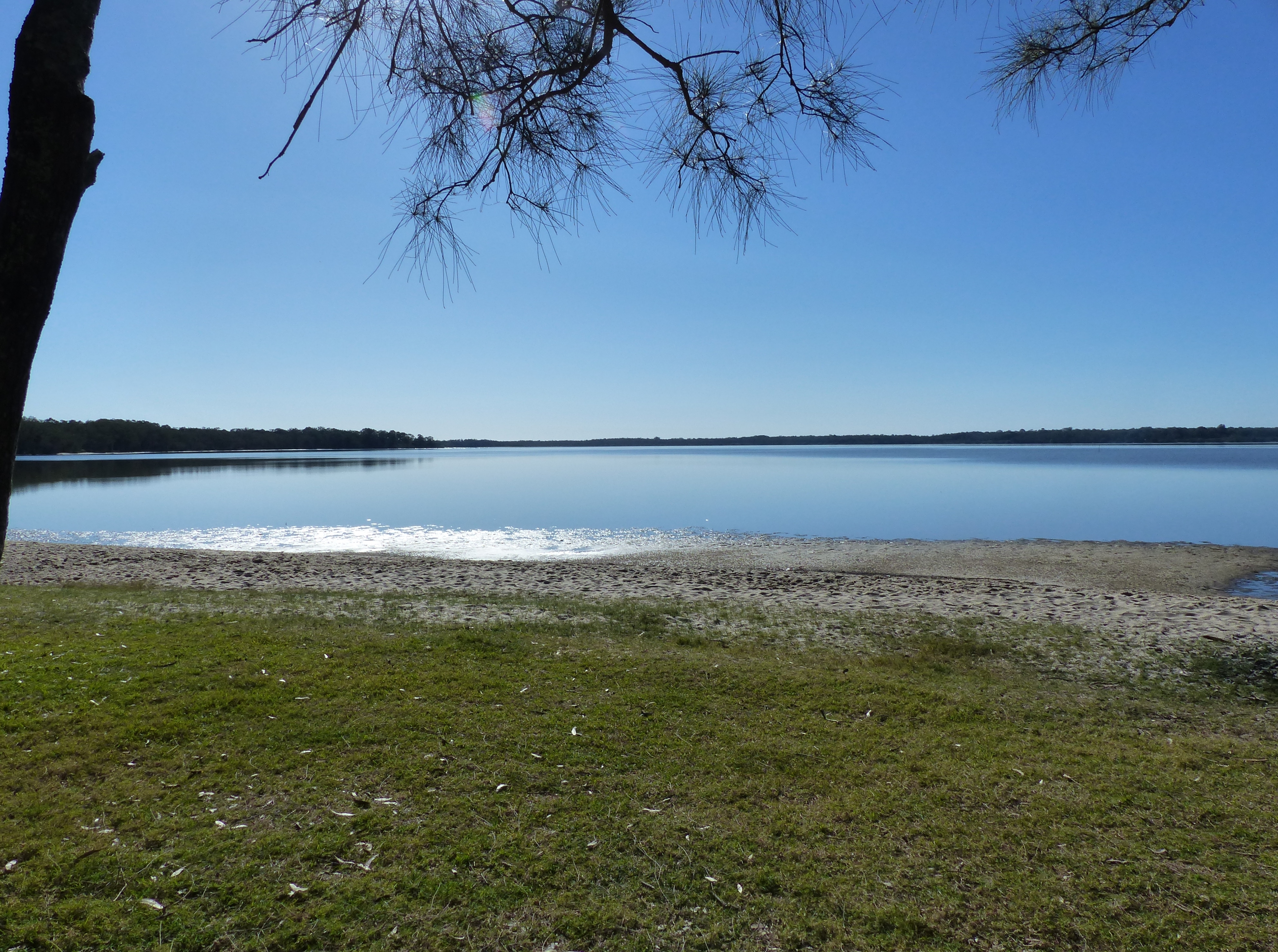 Lake Cooroibah Realty Waterfront Retreat