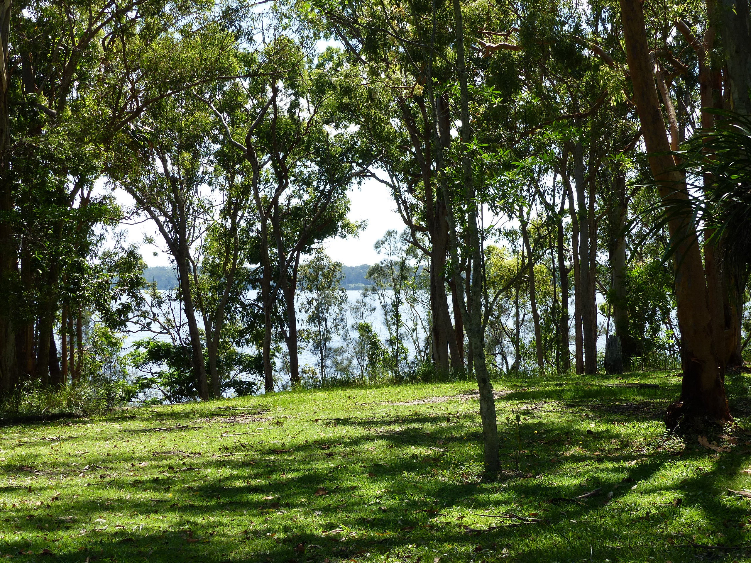 Lake Cooroibah Realty Waterfront Retreat