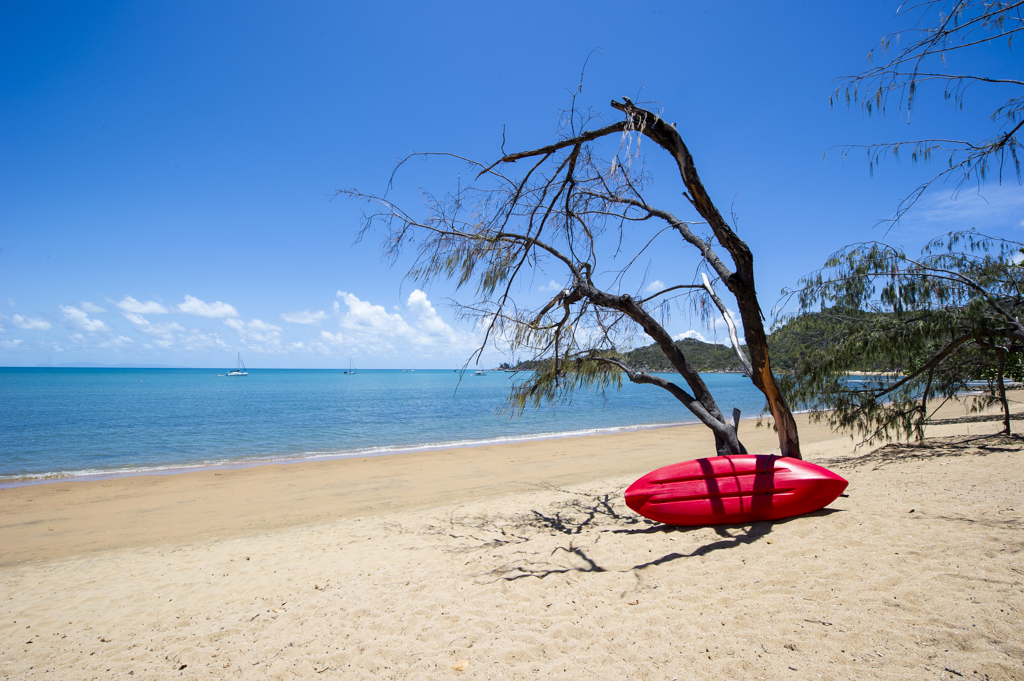 Best of Beachfront at Horseshoe Bay