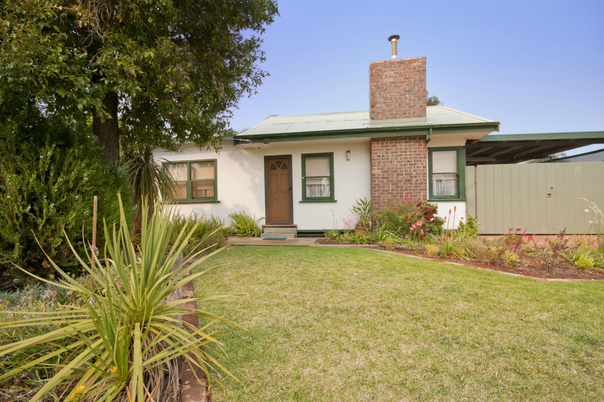 57 Avocado Street