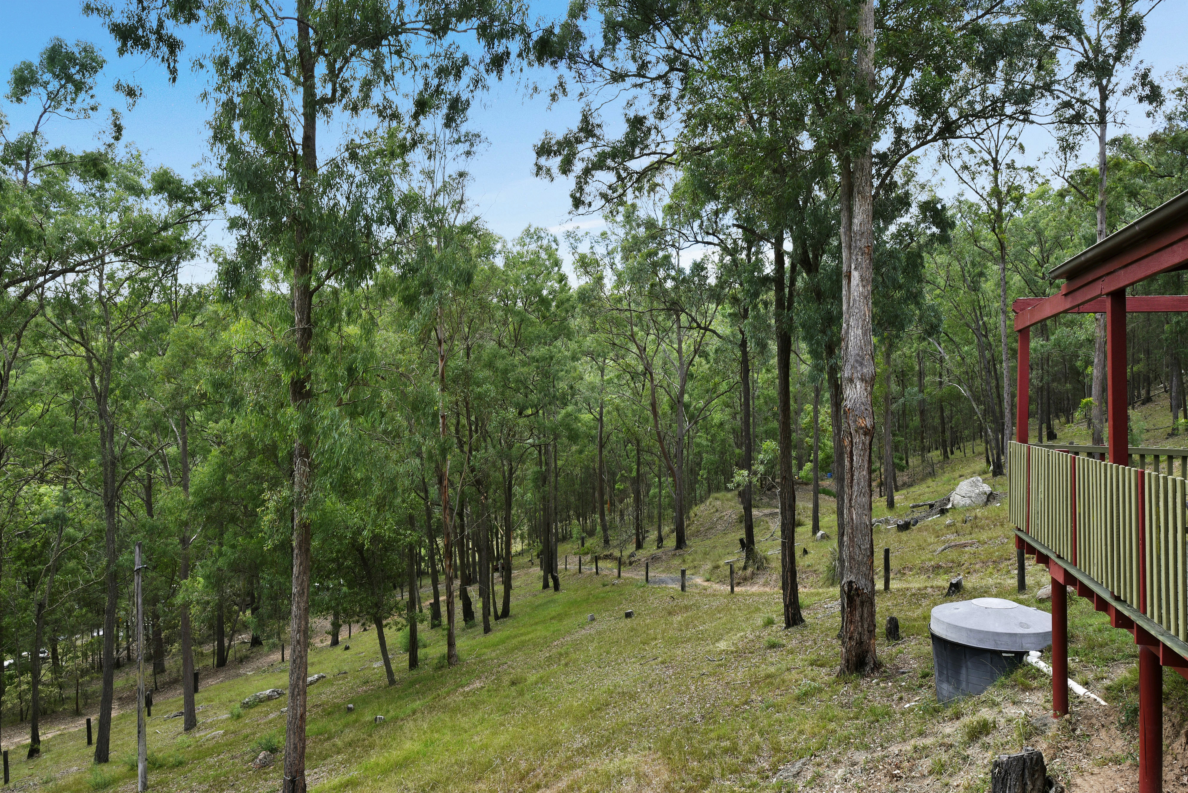 Musgrove Realty 'Bush Land Vista'