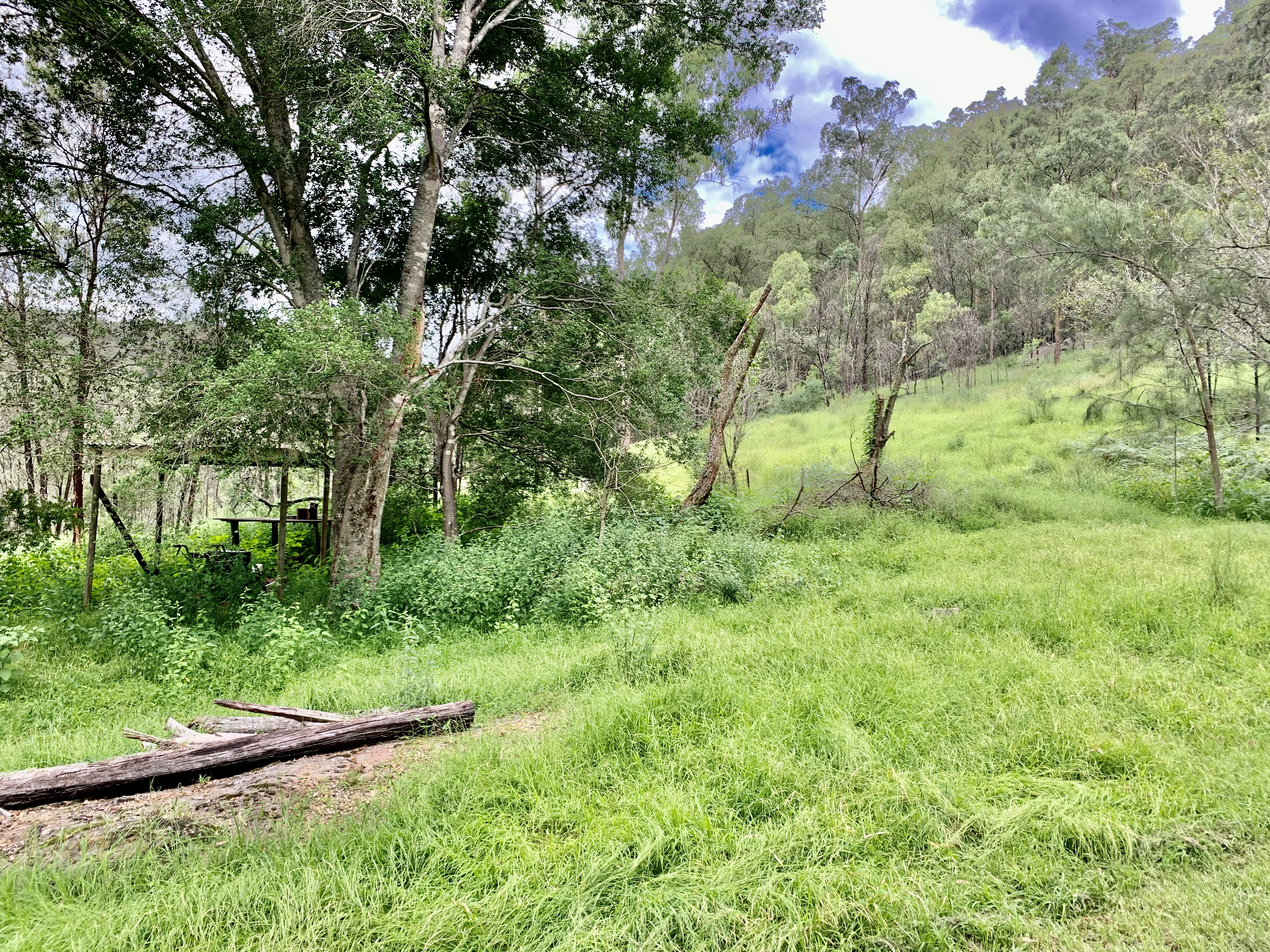Musgrove Realty Shed Rights Acreage in the Wollombi Valley