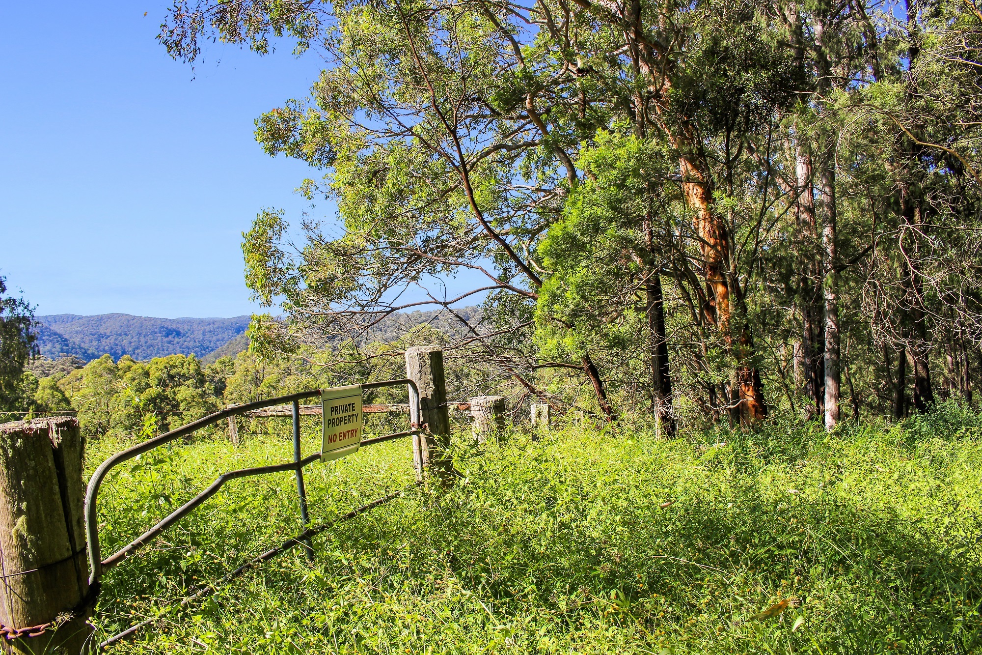 Musgrove Realty Huge Bush Land Oasis for the Adventurous