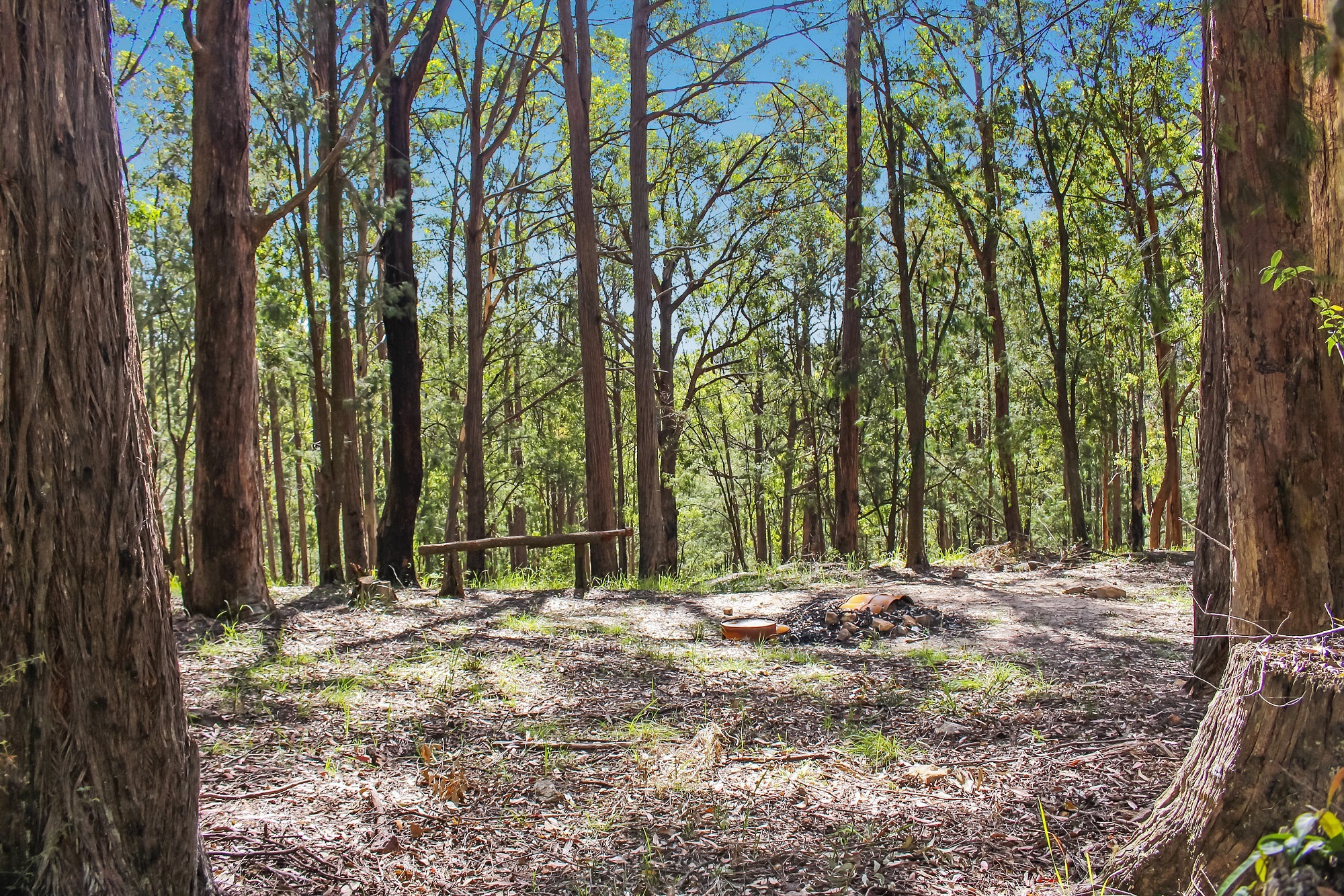 Musgrove Realty Ideal Bush Land Escape