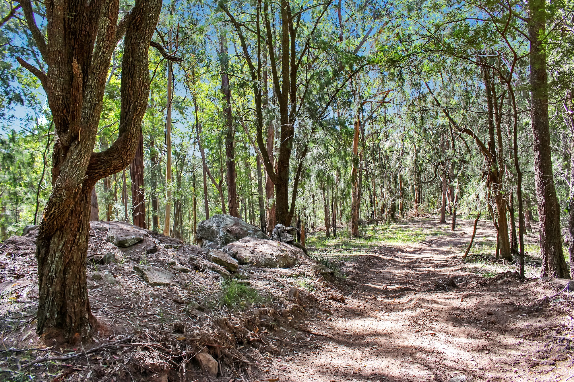 Musgrove Realty Ideal Bush Land Escape