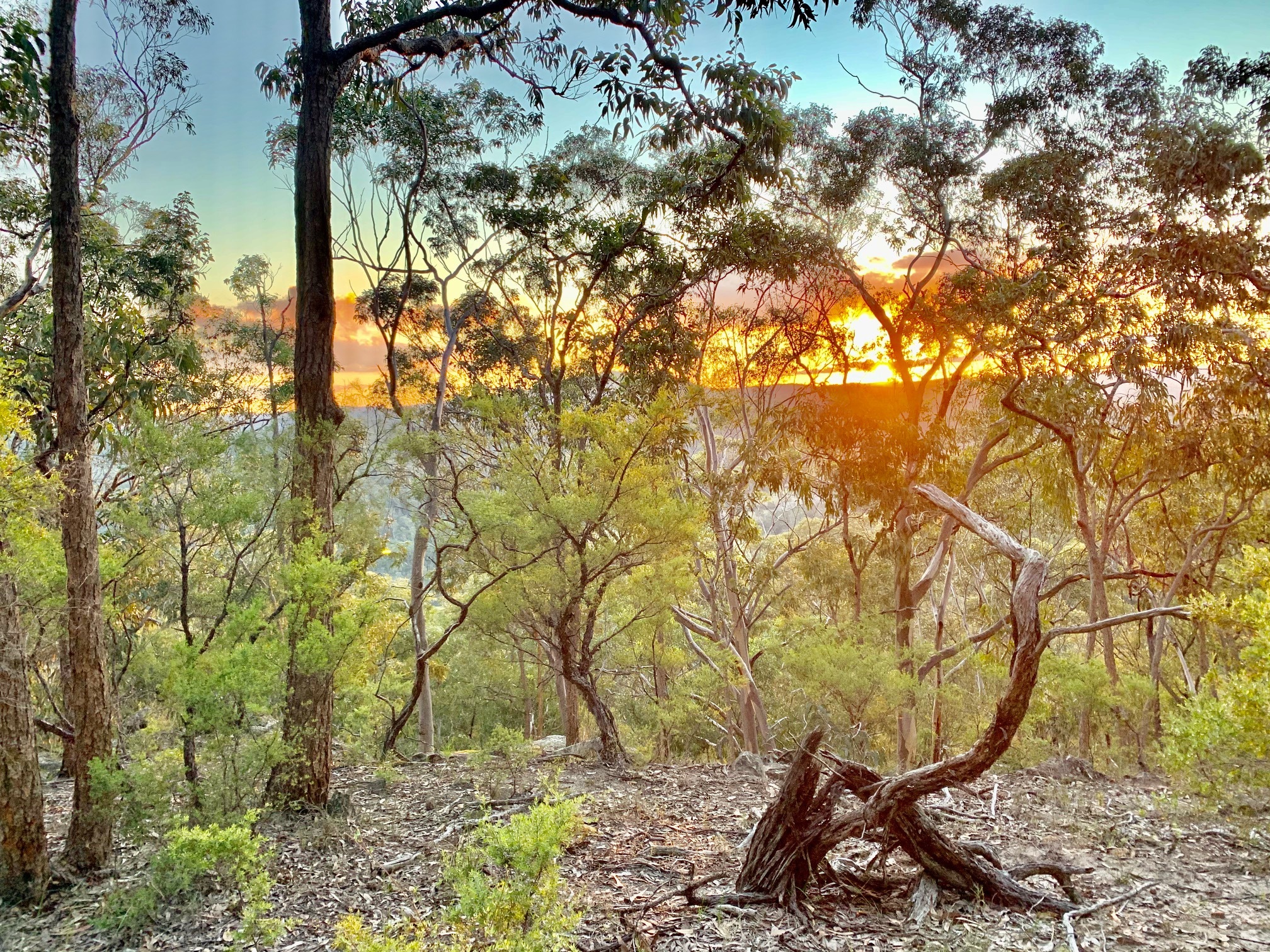 Musgrove Realty Bush Land Oasis with a View!