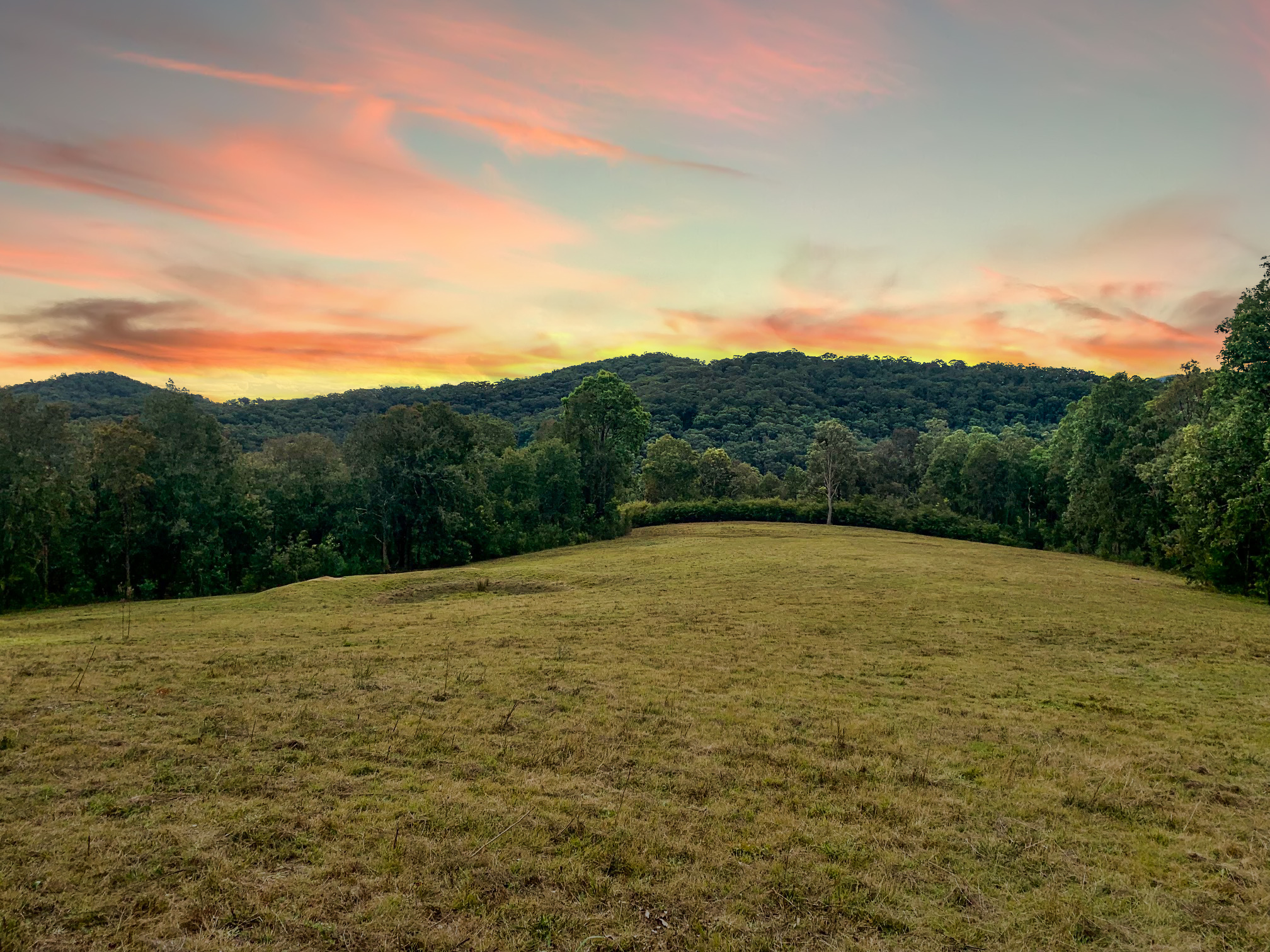 256,  Olney Arm Road, Laguna