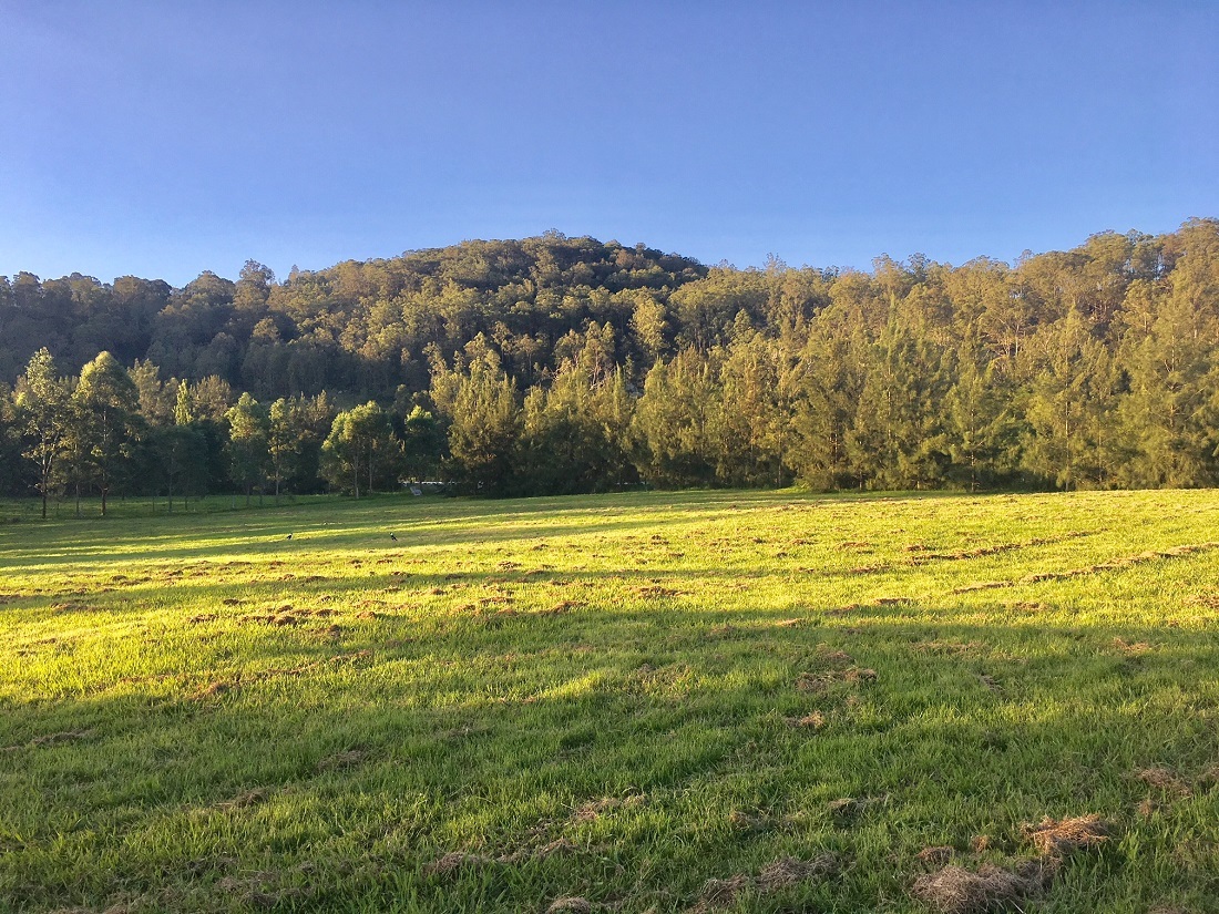 Musgrove Realty Fertile Wollombi Brook Acres
