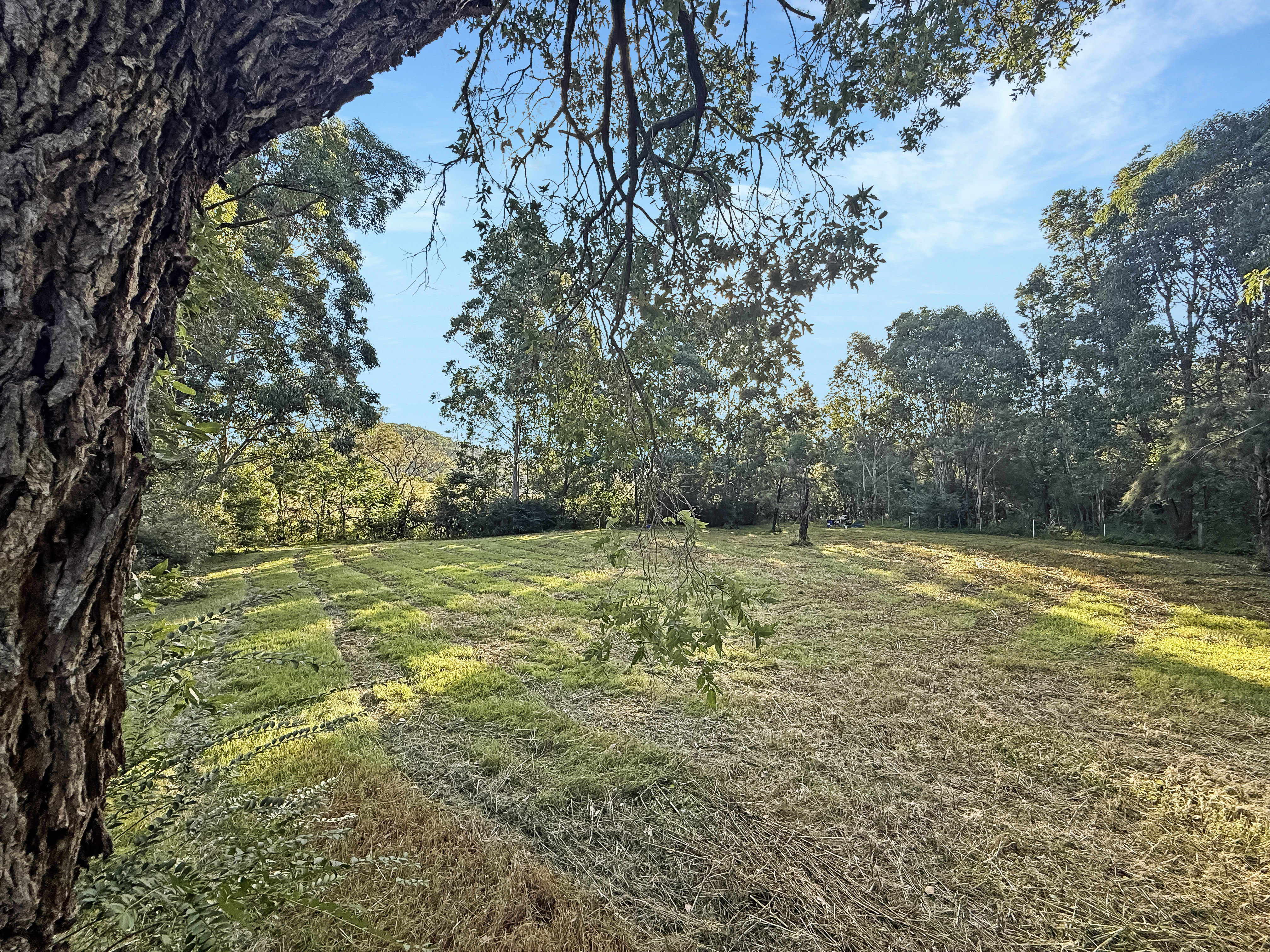 2938 Paynes Crossing Rd, Wollombi