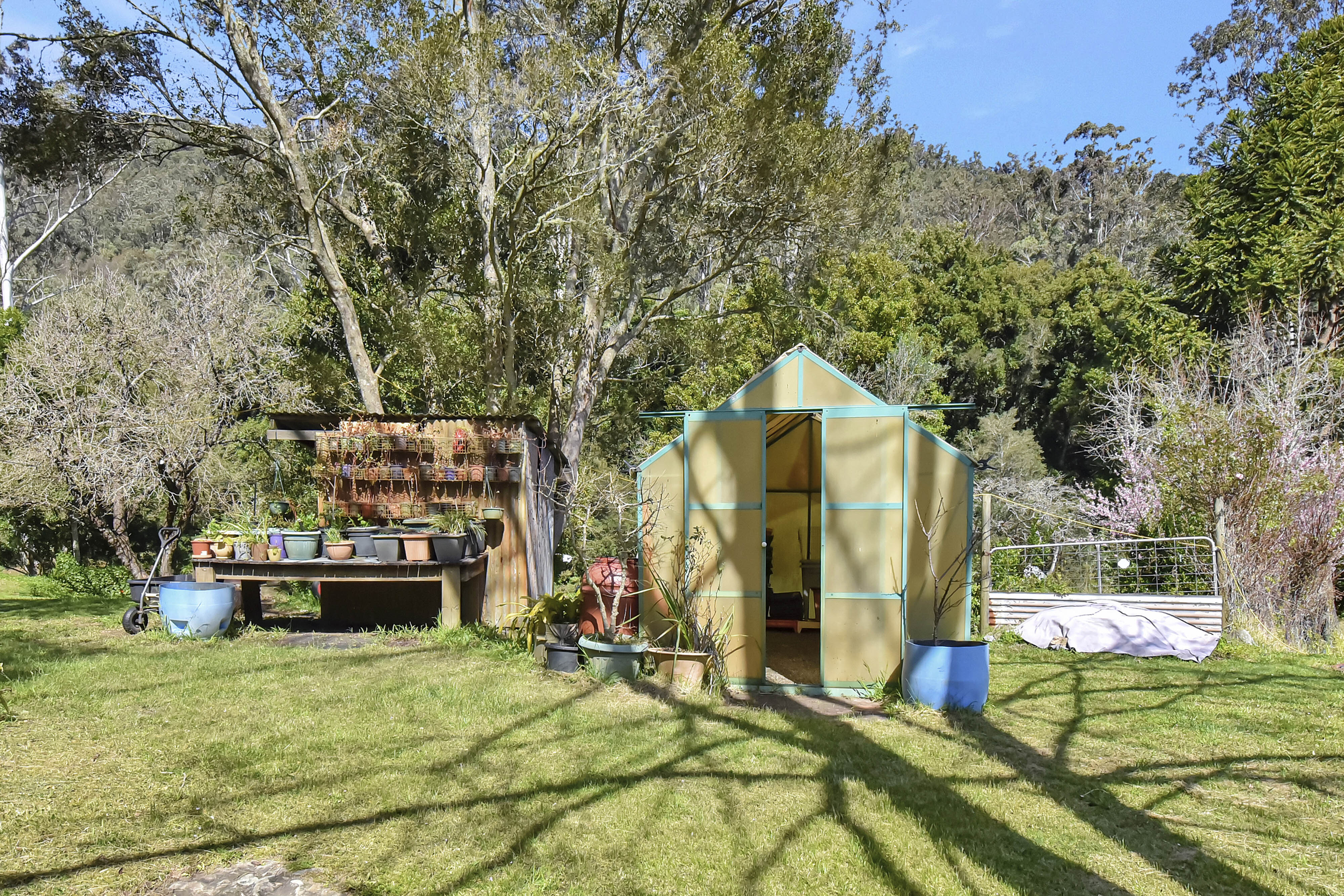 1273 Watagan Creek Road, Laguna For Sale by Farmbuy.com - image 25