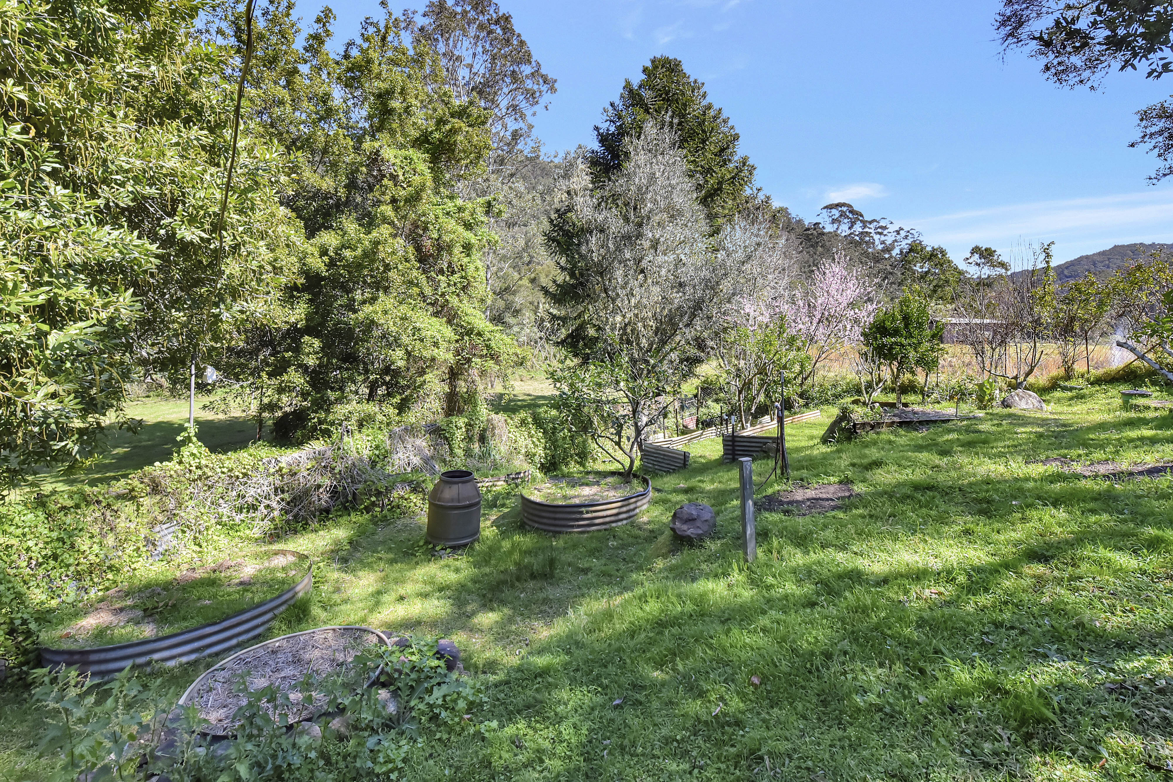 1273 Watagan Creek Road, Laguna For Sale by Farmbuy.com - image 26