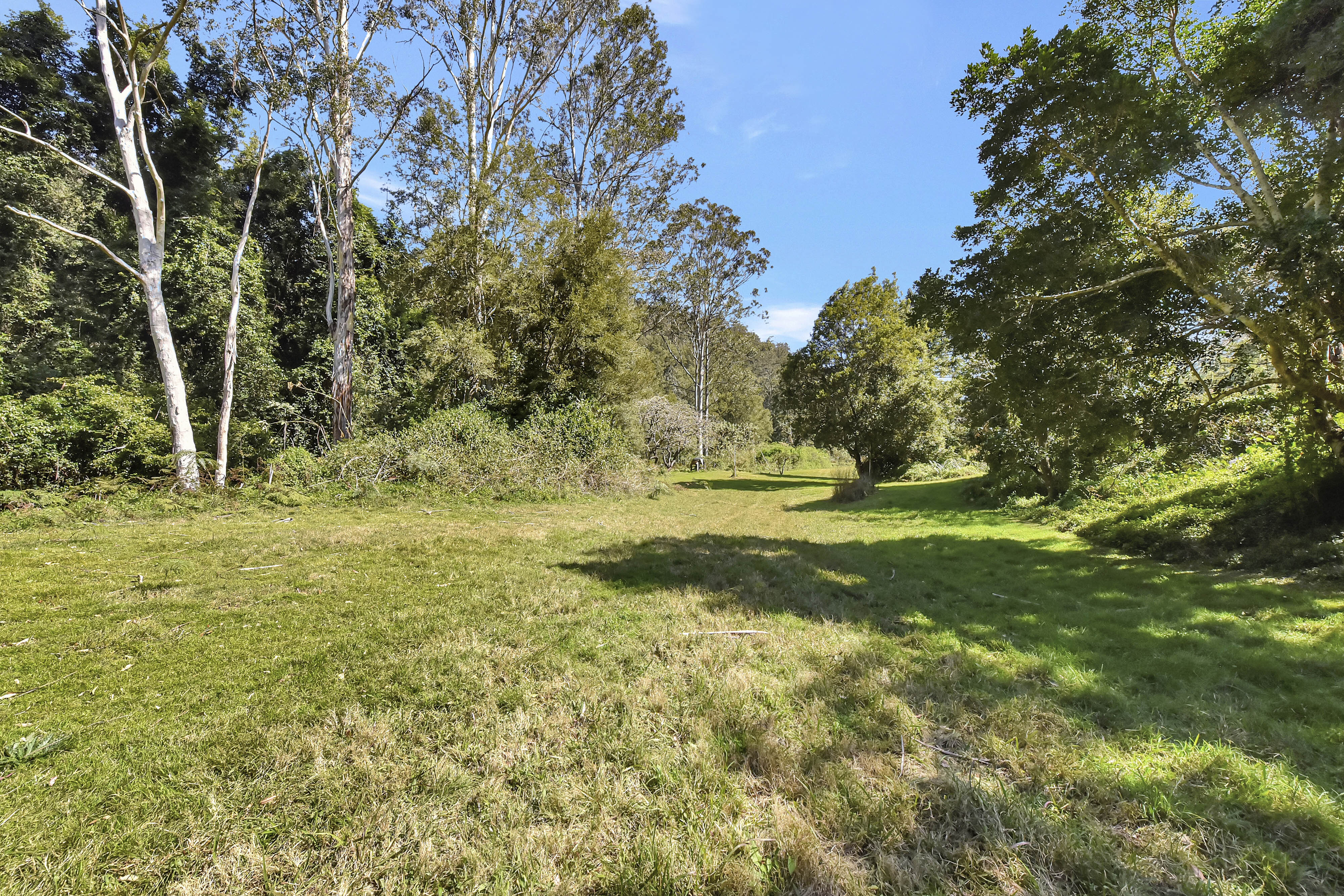 1273 Watagan Creek Road, Laguna For Sale by Farmbuy.com - image 28