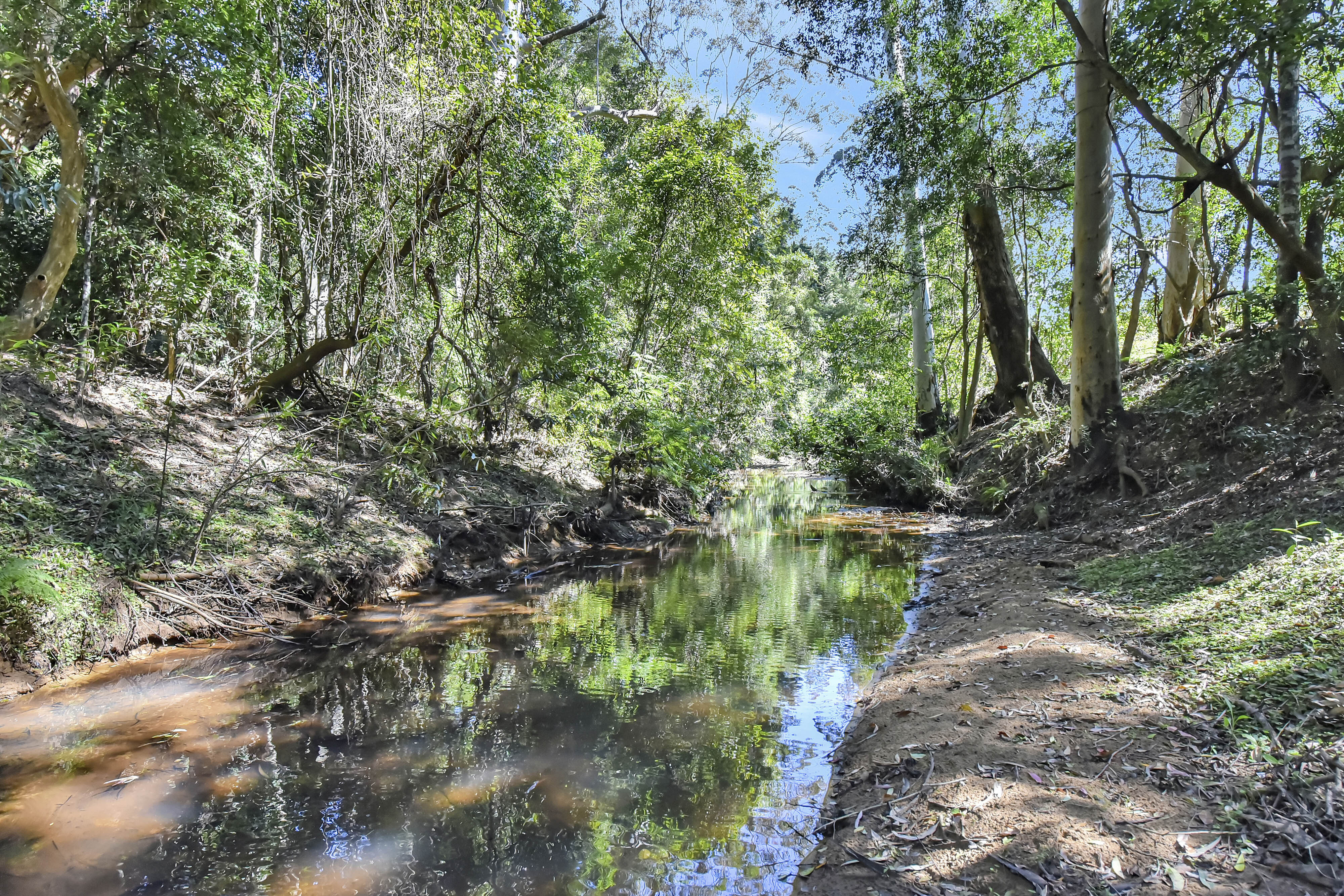 1273 Watagan Creek Road, Laguna For Sale by Farmbuy.com - image 32