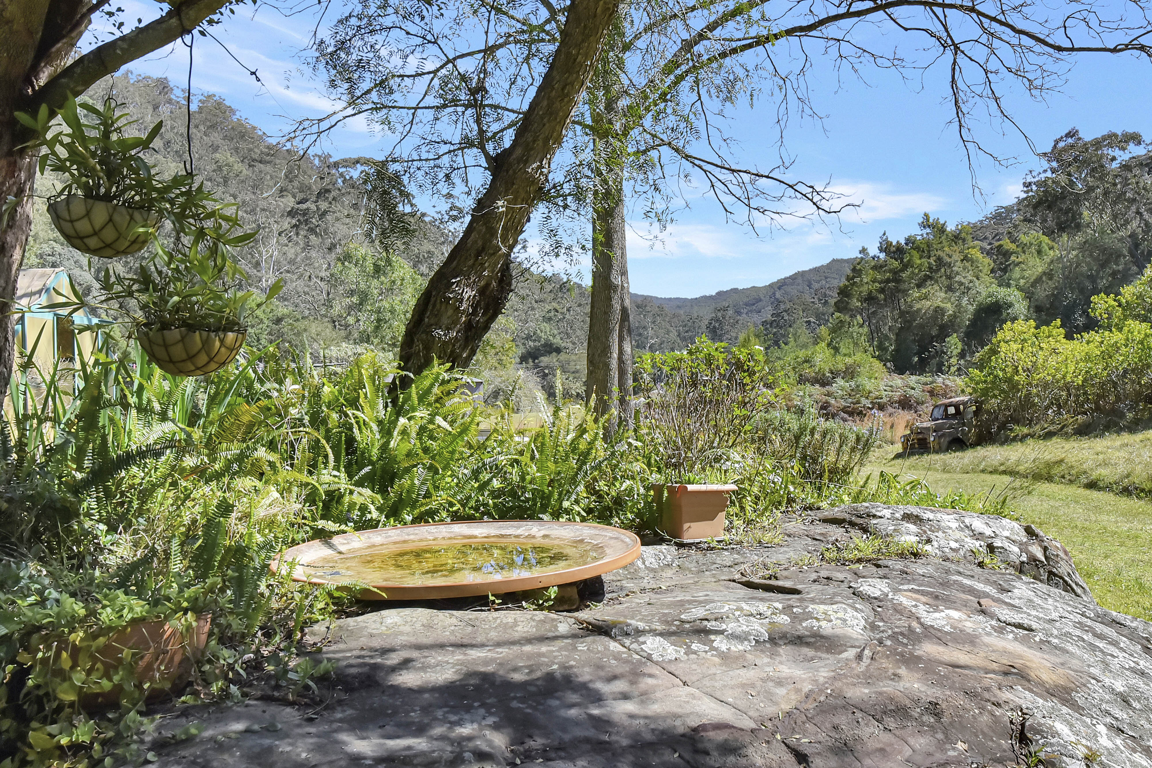 1273 Watagan Creek Road, Laguna For Sale by Farmbuy.com - image 6