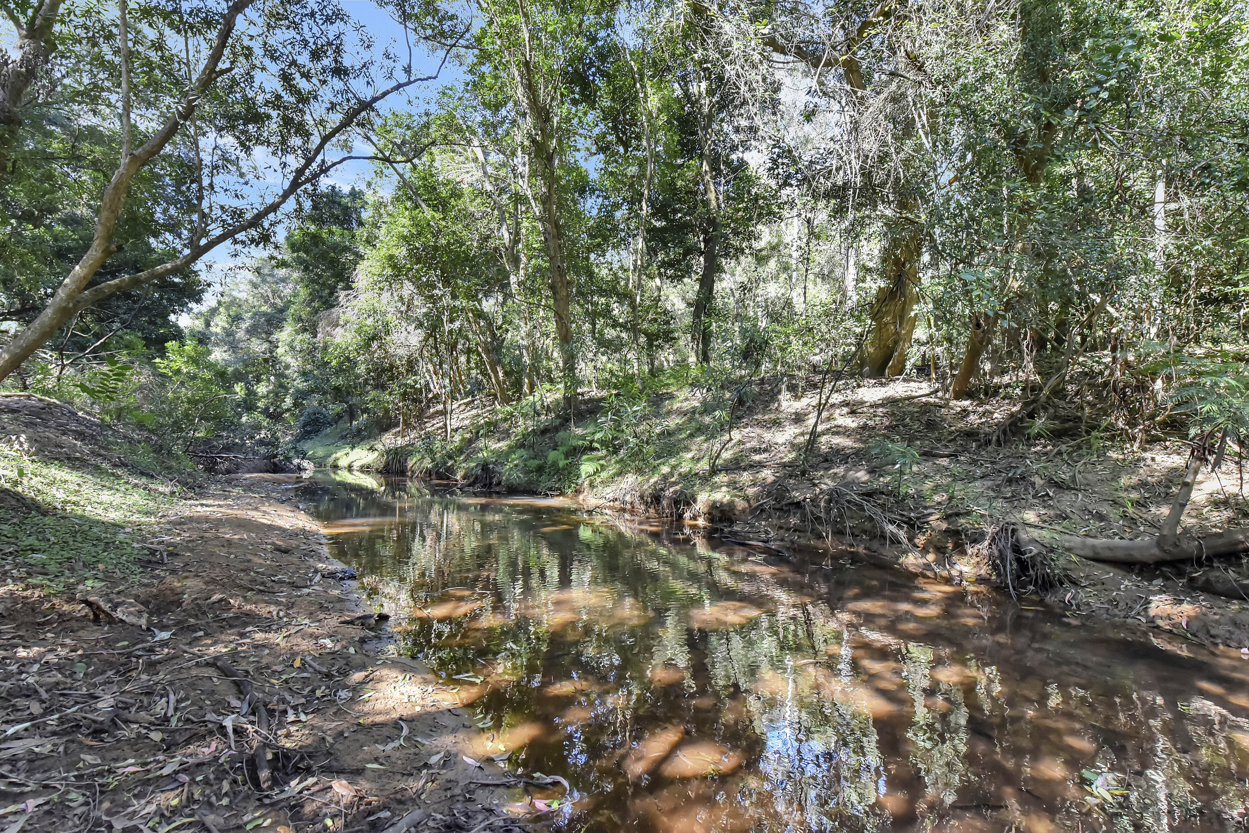 1273 Watagan Creek Road, Laguna For Sale by Farmbuy.com - image 7