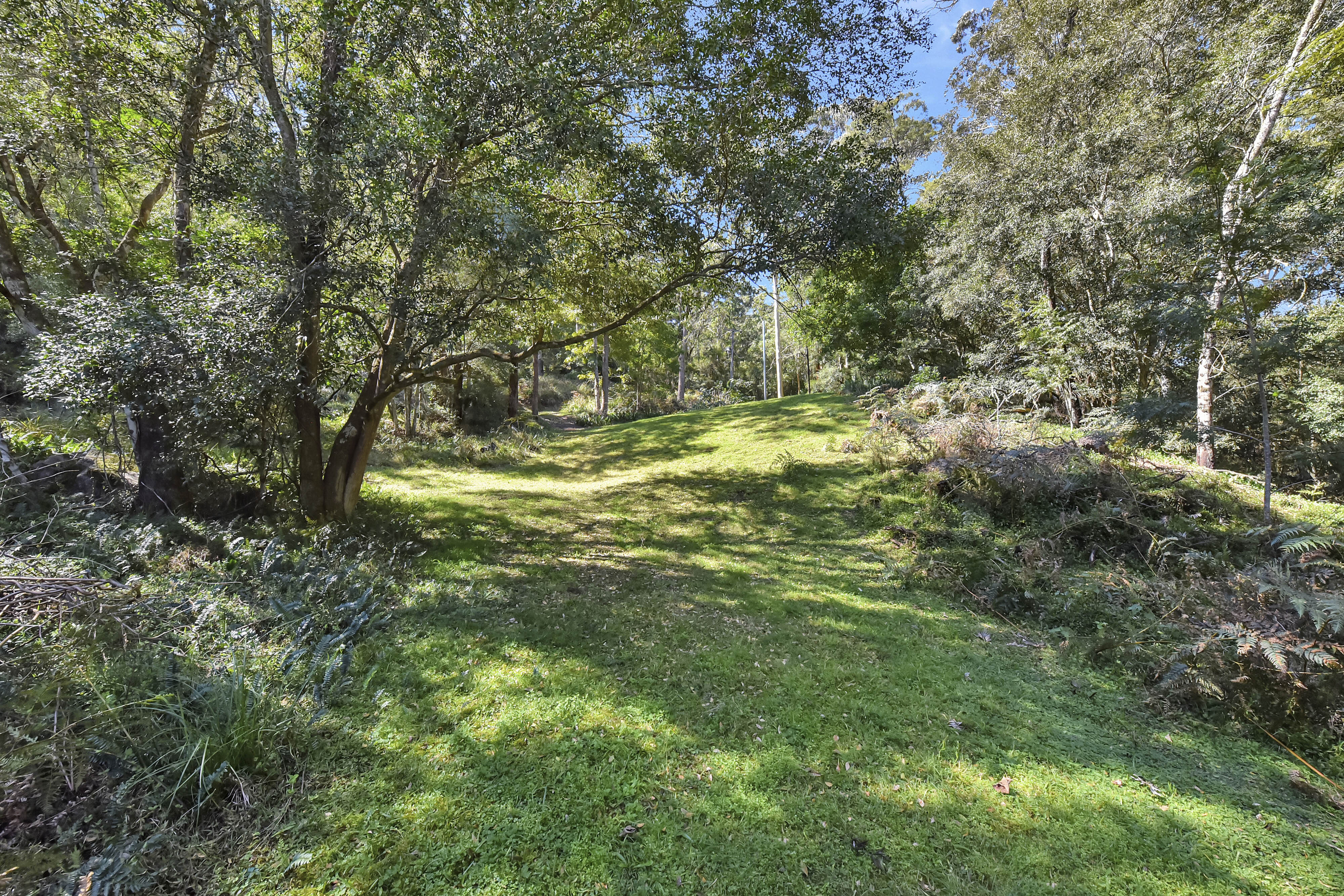 1273 Watagan Creek Road, Laguna For Sale by Farmbuy.com - image 8